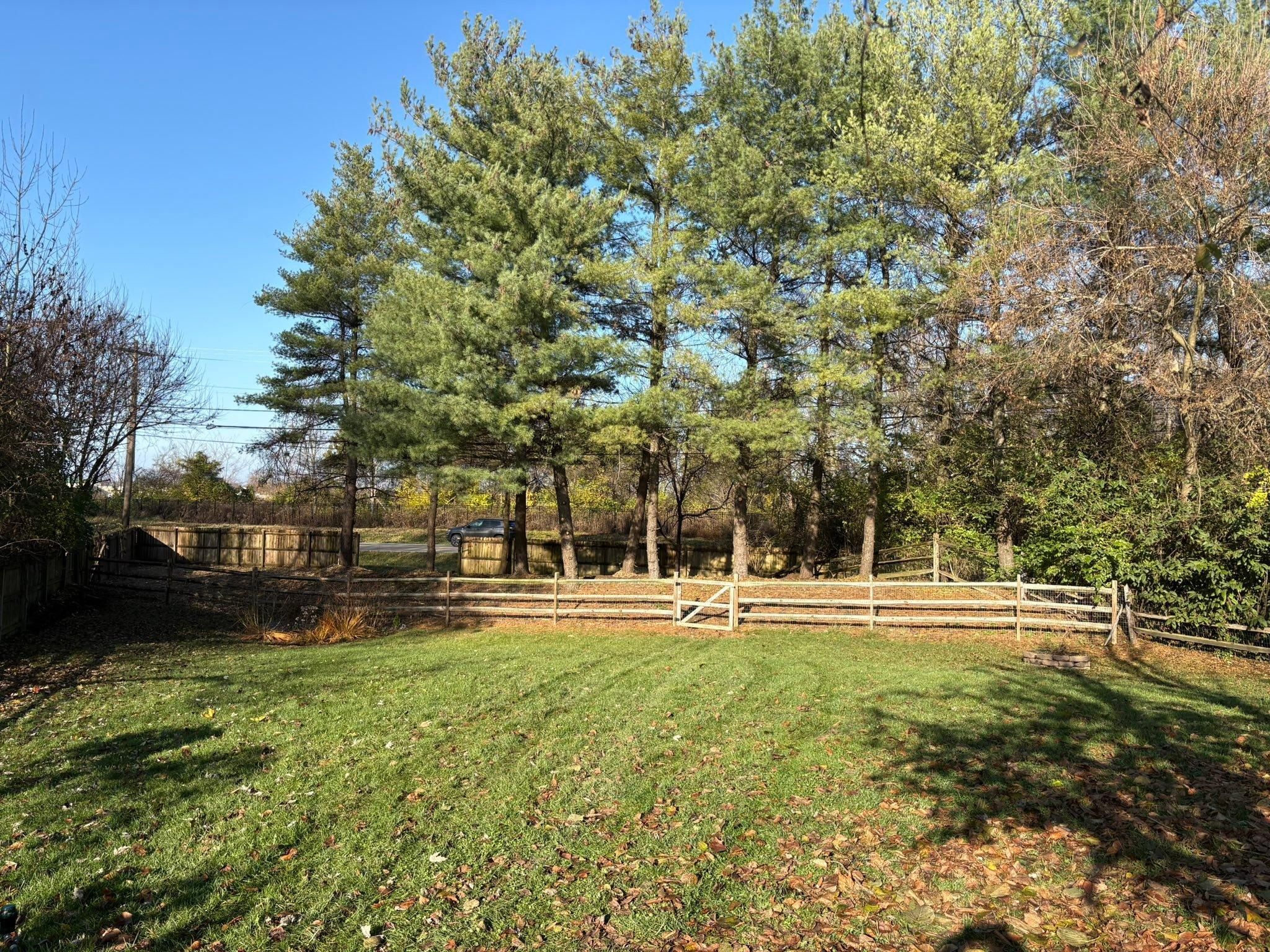  for Dig-It Tree Company in Mason, OH