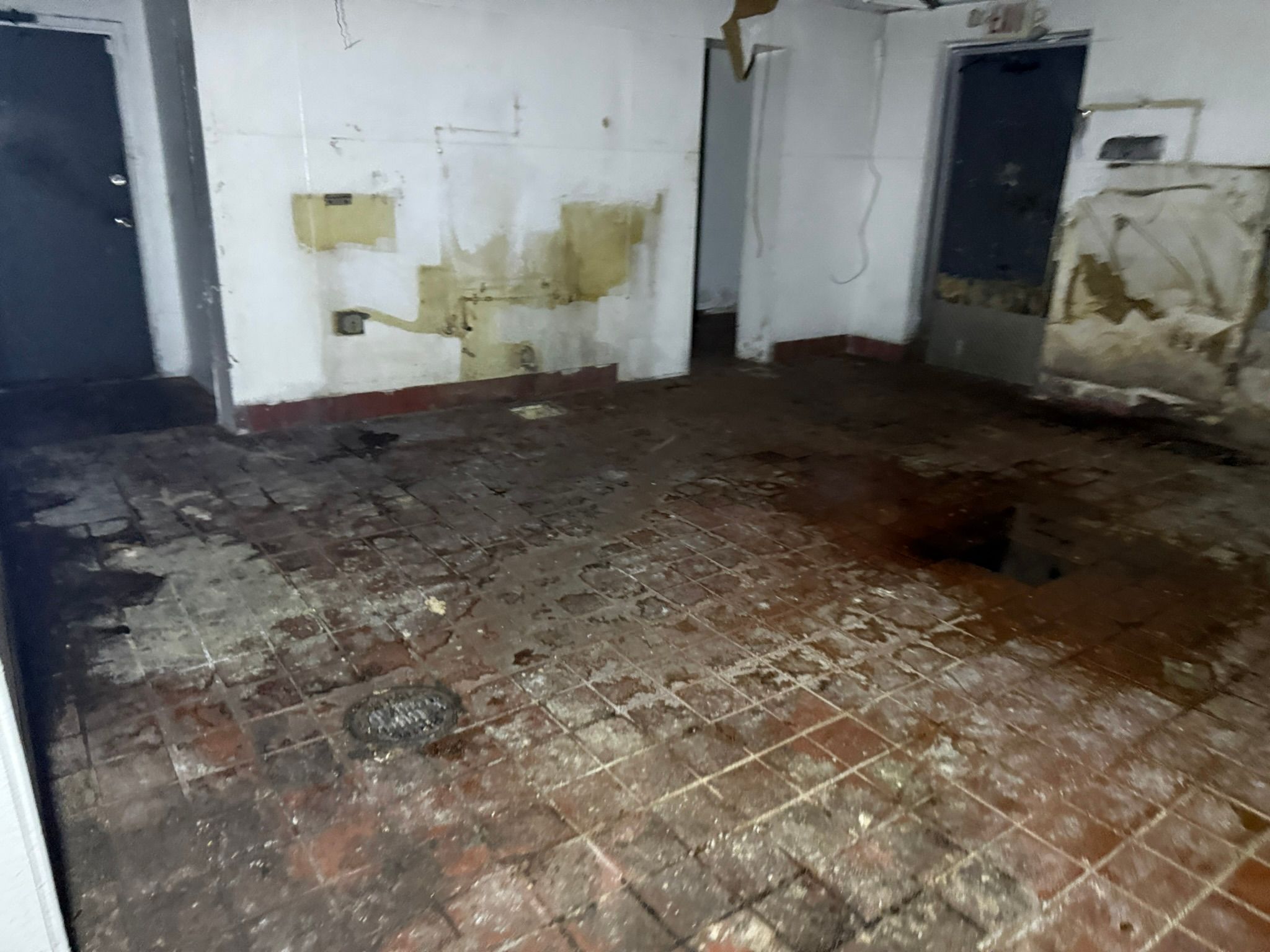  for Surplus Public Adjusters in Miami-Dade County, FL