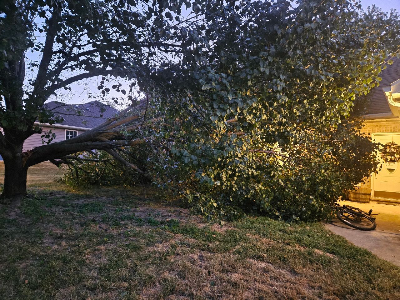  for Sky High Tree Service in Columbia, MO
