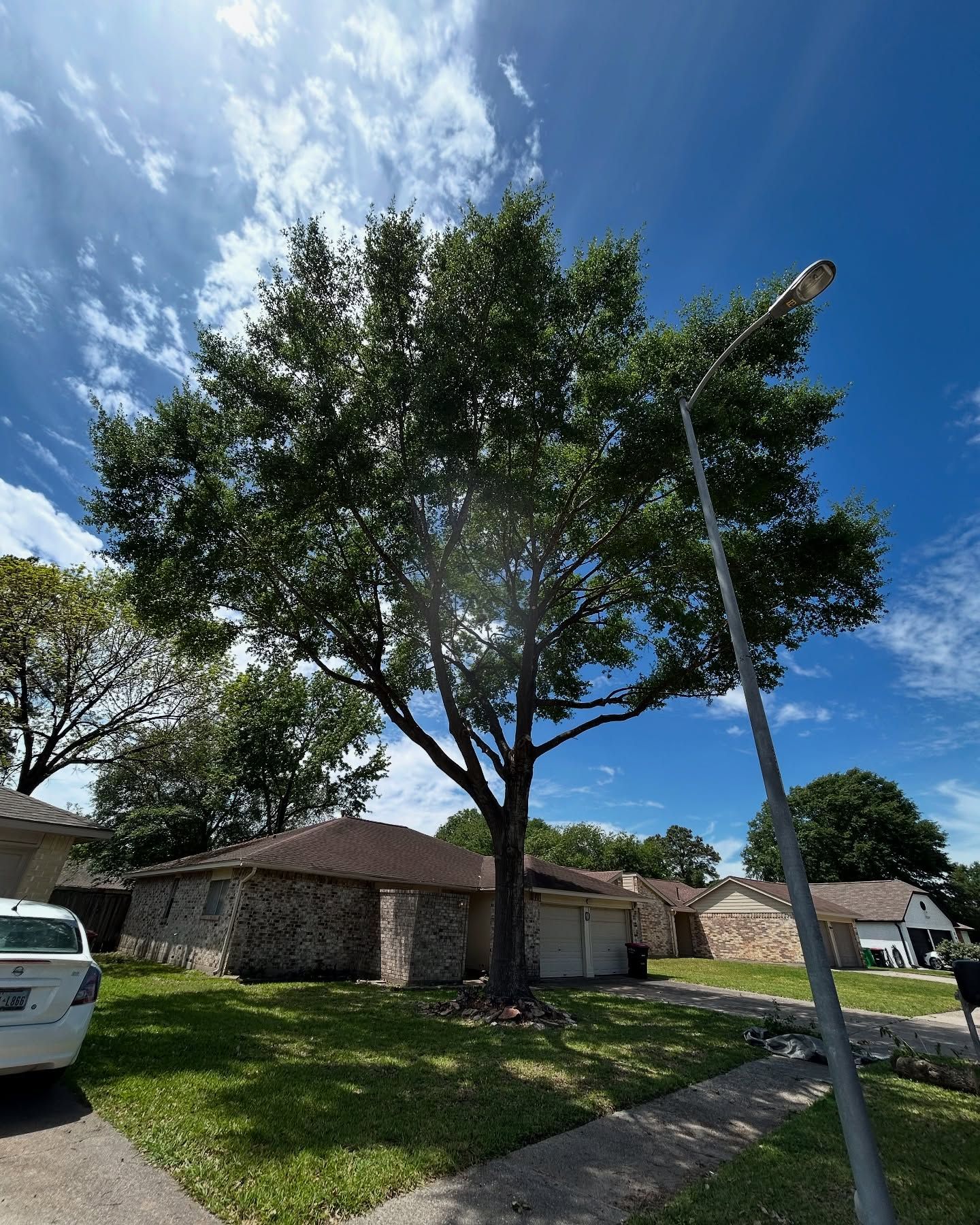  for C&B Ramos Tree Service in Houston, TX