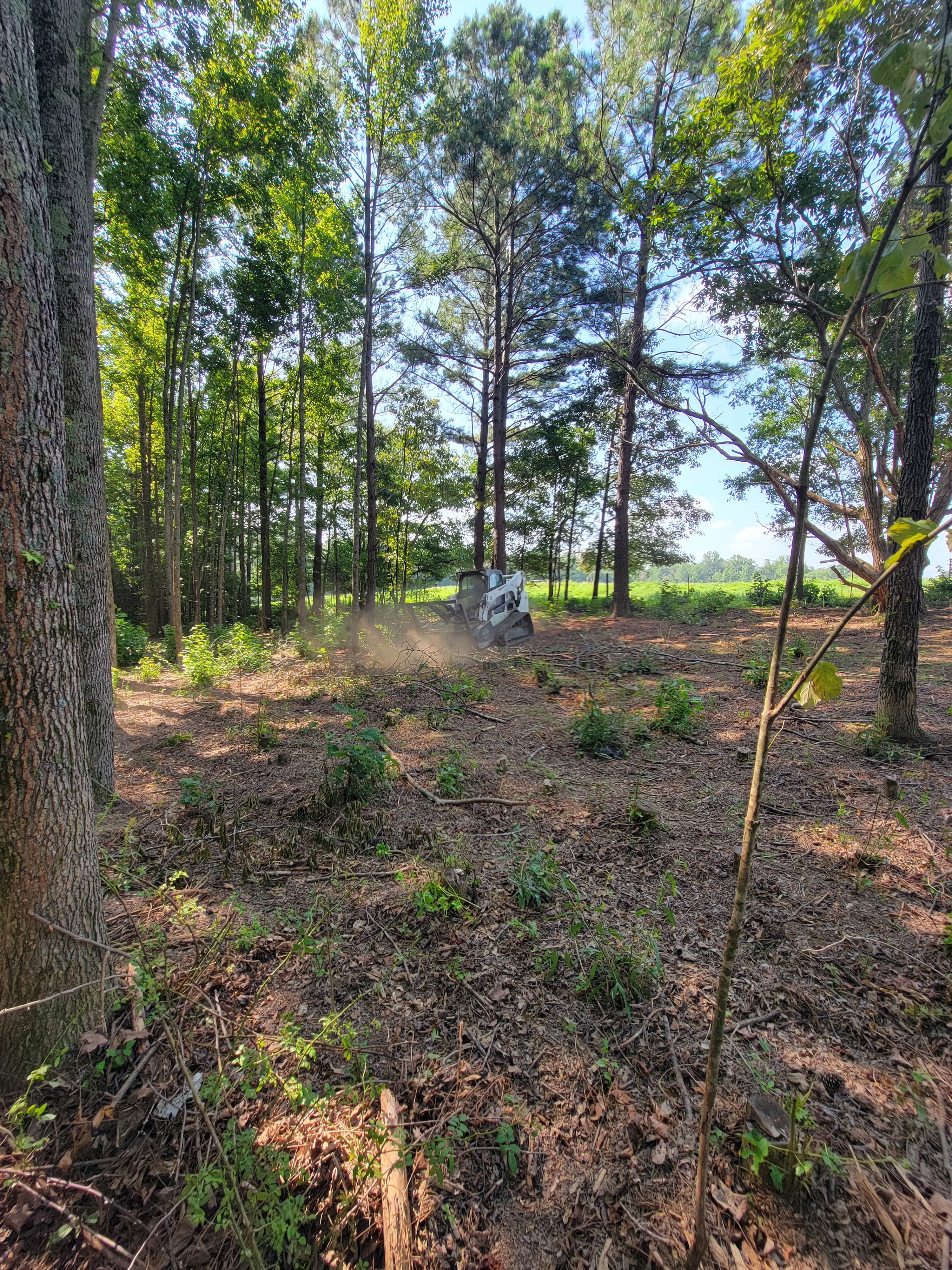  for Z's Land Management & Forestry Mulching in Smithville, TN