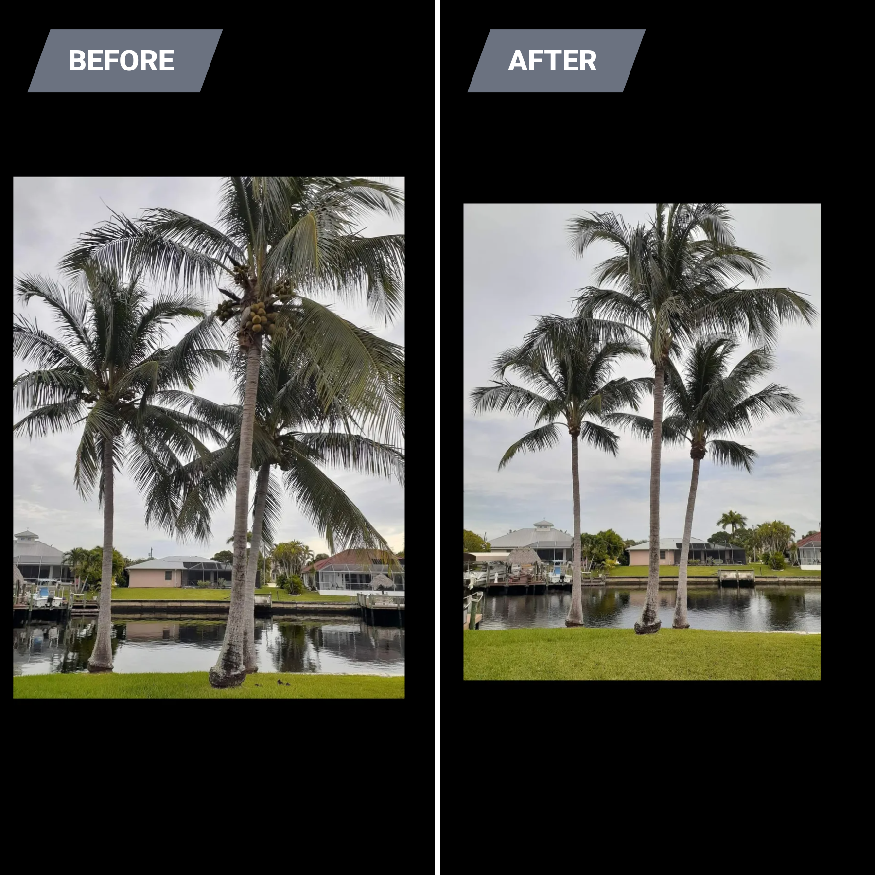  for Advanced Landscaping Solutions LLC in Fort Myers, FL