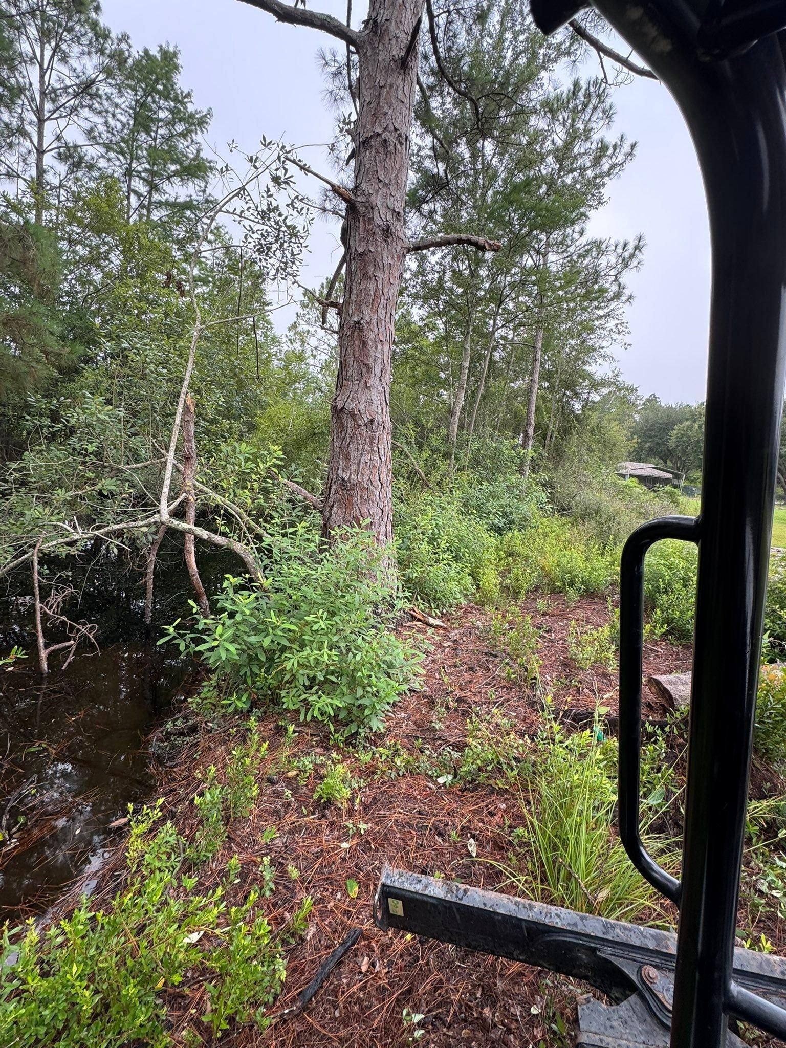  for DLC Land Clearing in Glen Saint Mary, FL