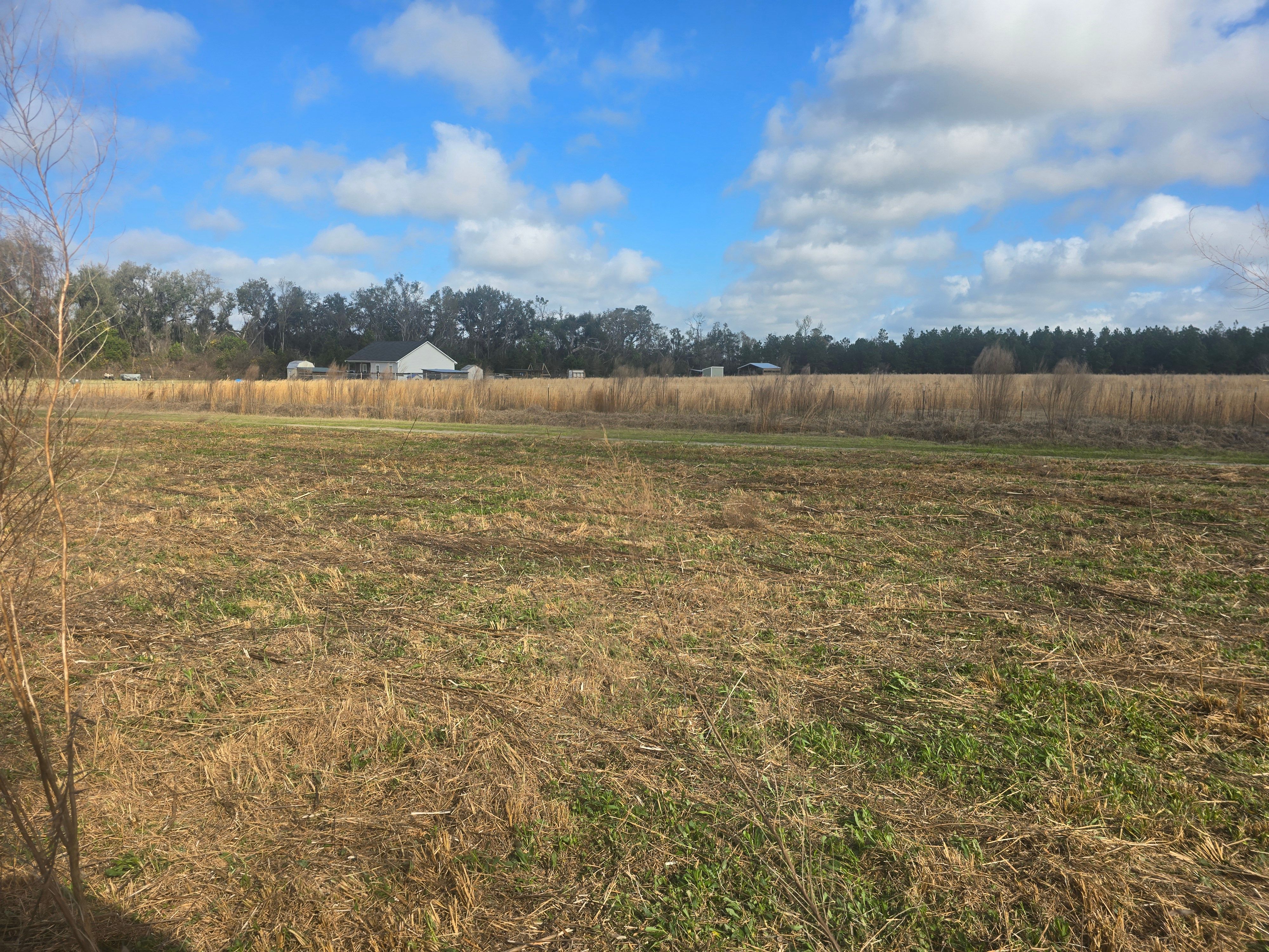  for Giles Land Management, LLC in Hahira, GA