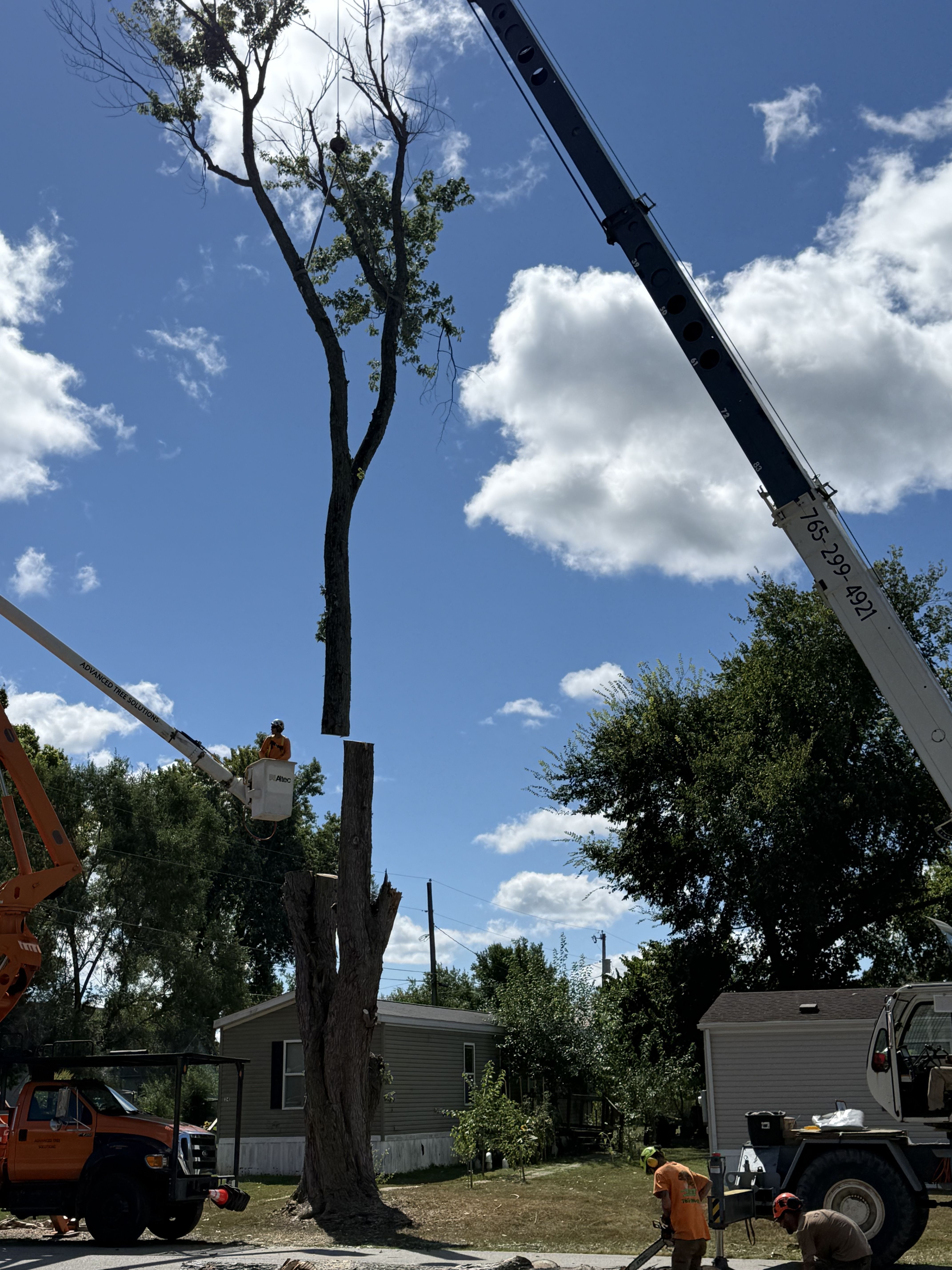  for Advanced Tree Solutions in Rockville, IN