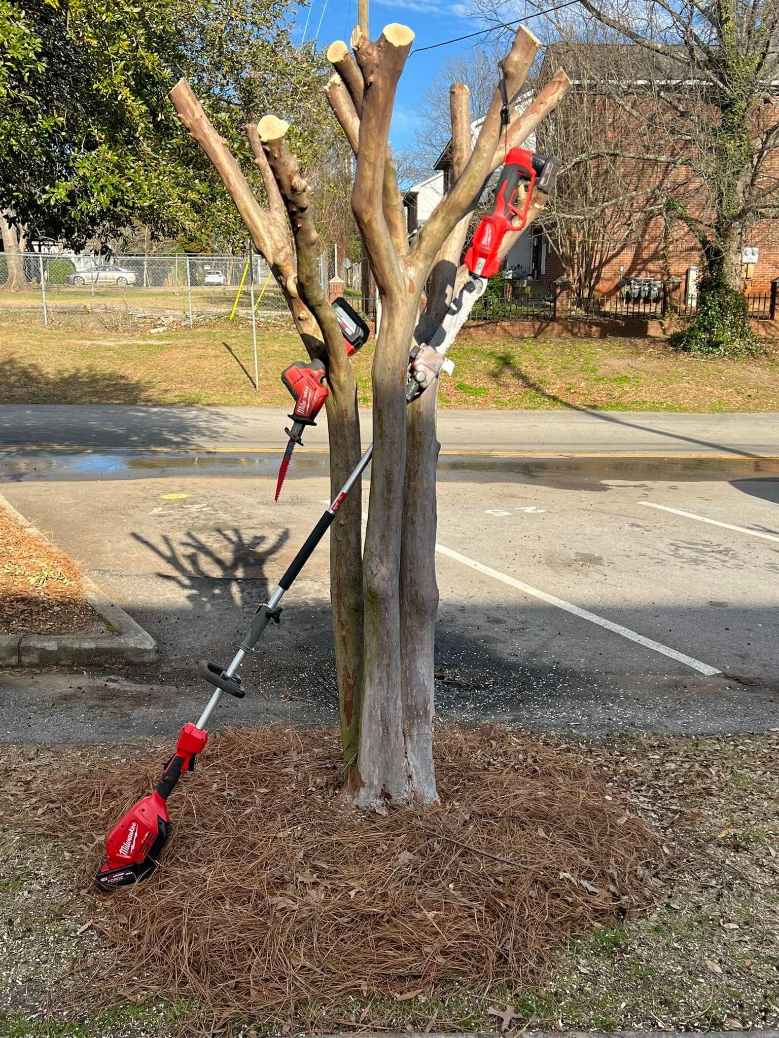  for Shang's Landscaping Service in Columbia, South Carolina