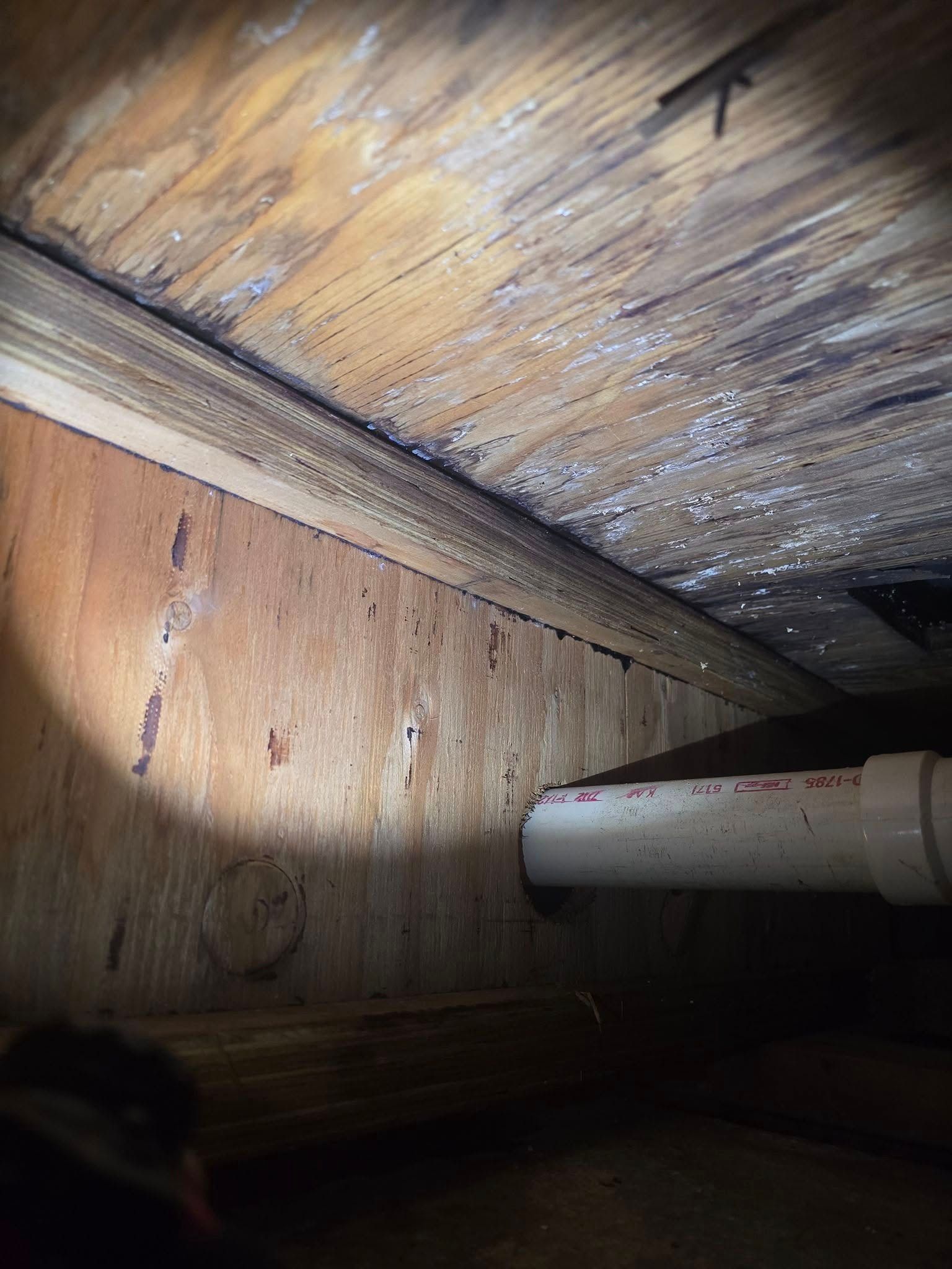  for Donovan & Sons in Fredericksburg, VA