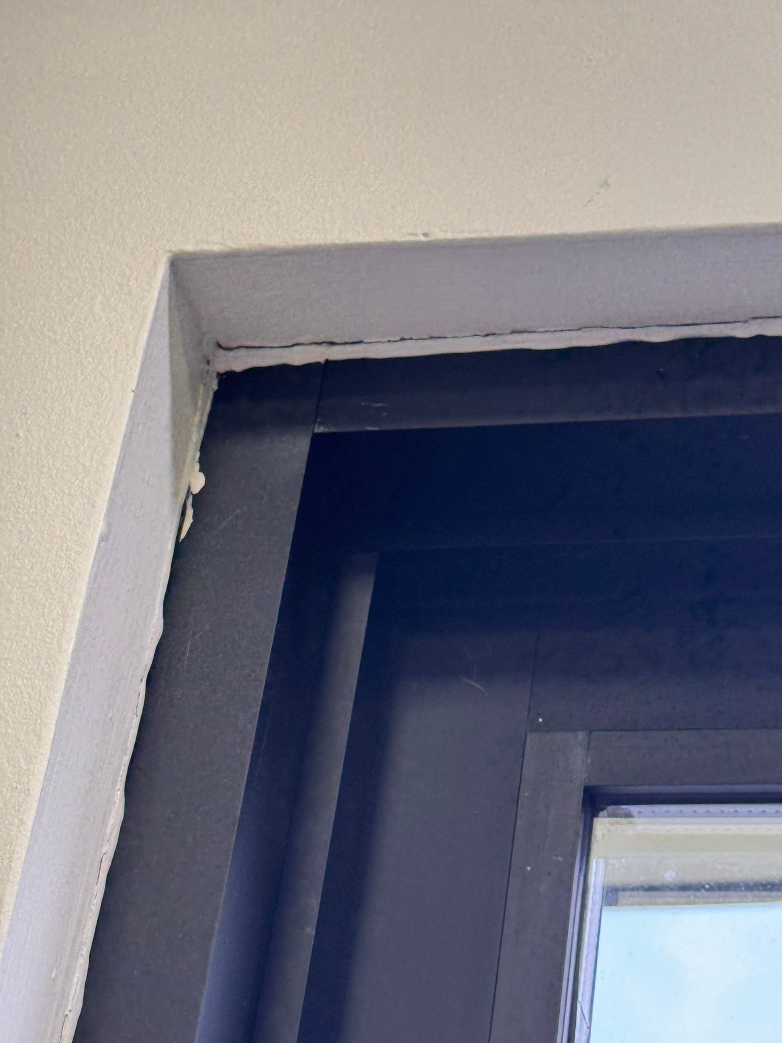  for Tony's Remodeling & Painting in Renton, WA