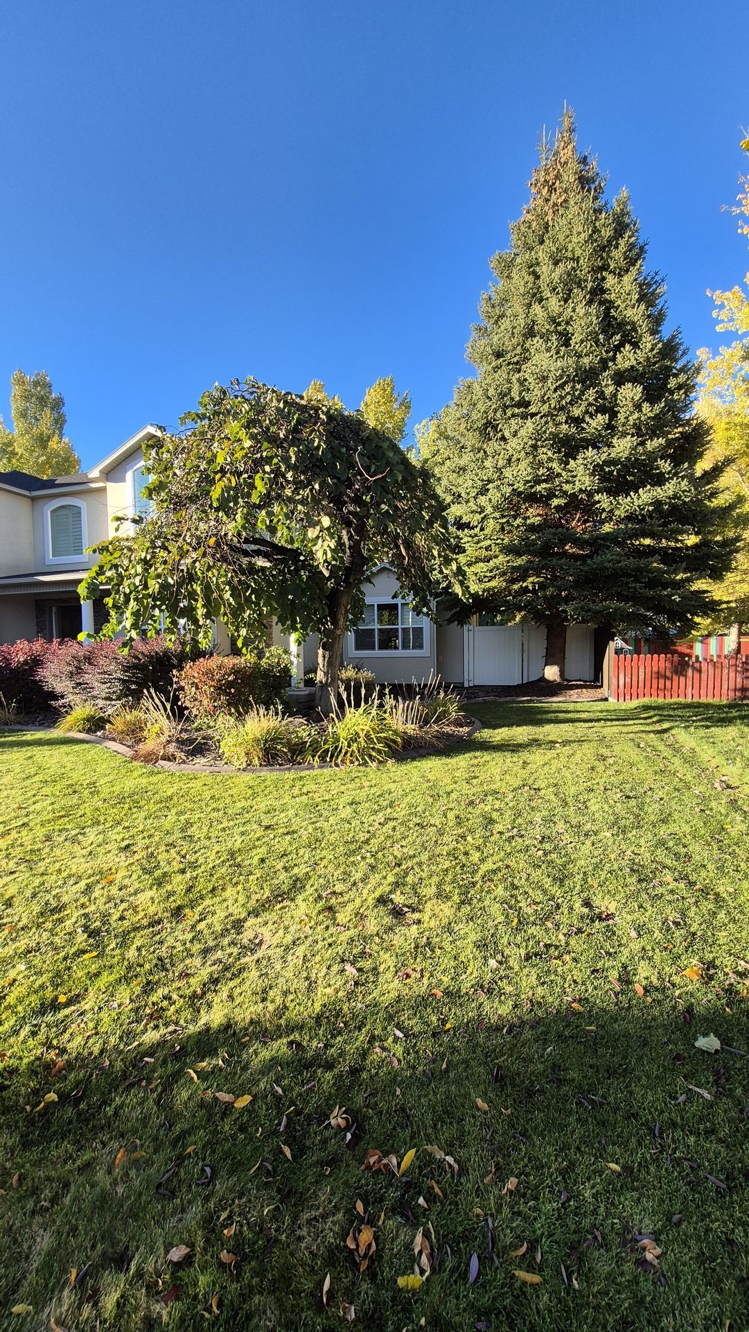  for Vivid Windows in Hurricane, UT