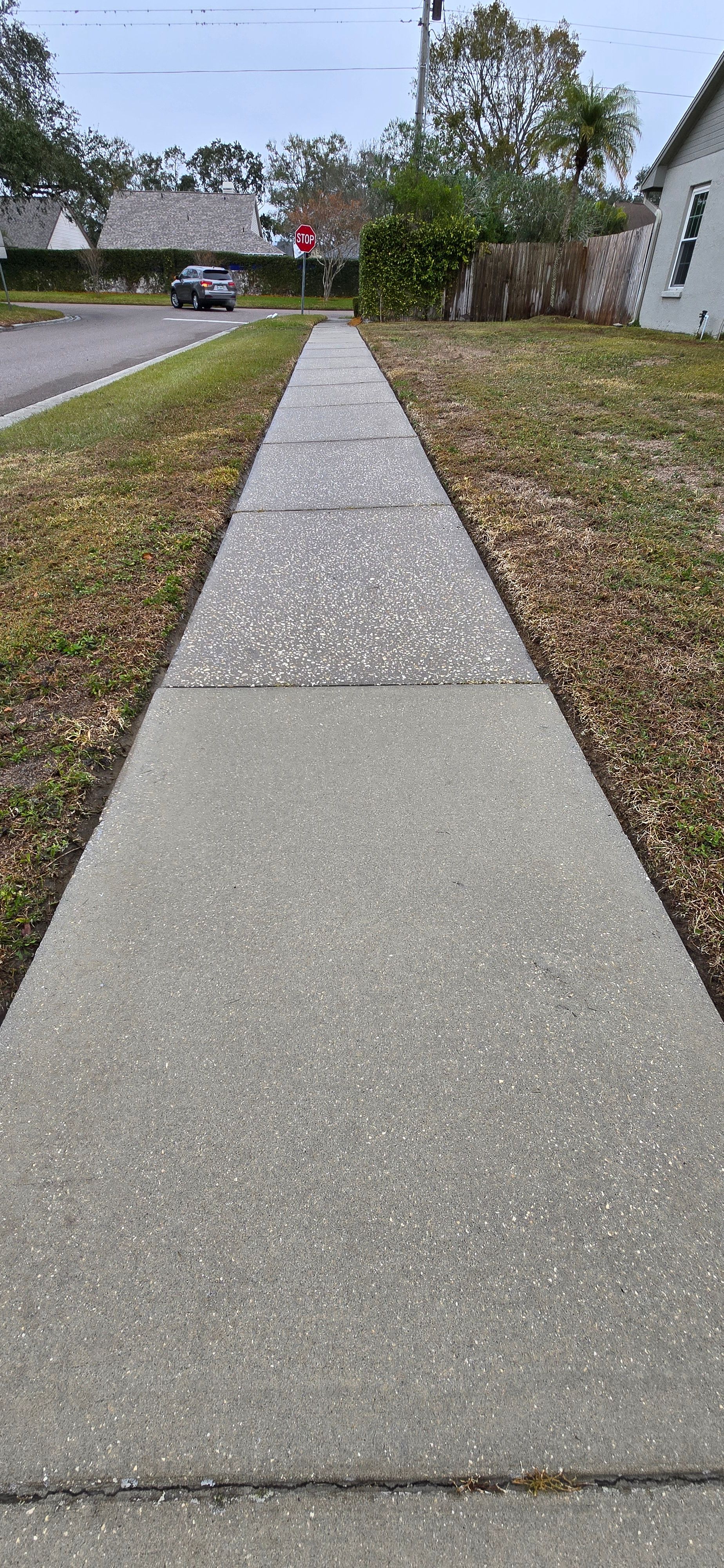  for Blue Stream Roof Cleaning & Pressure Washing in Tampa, FL