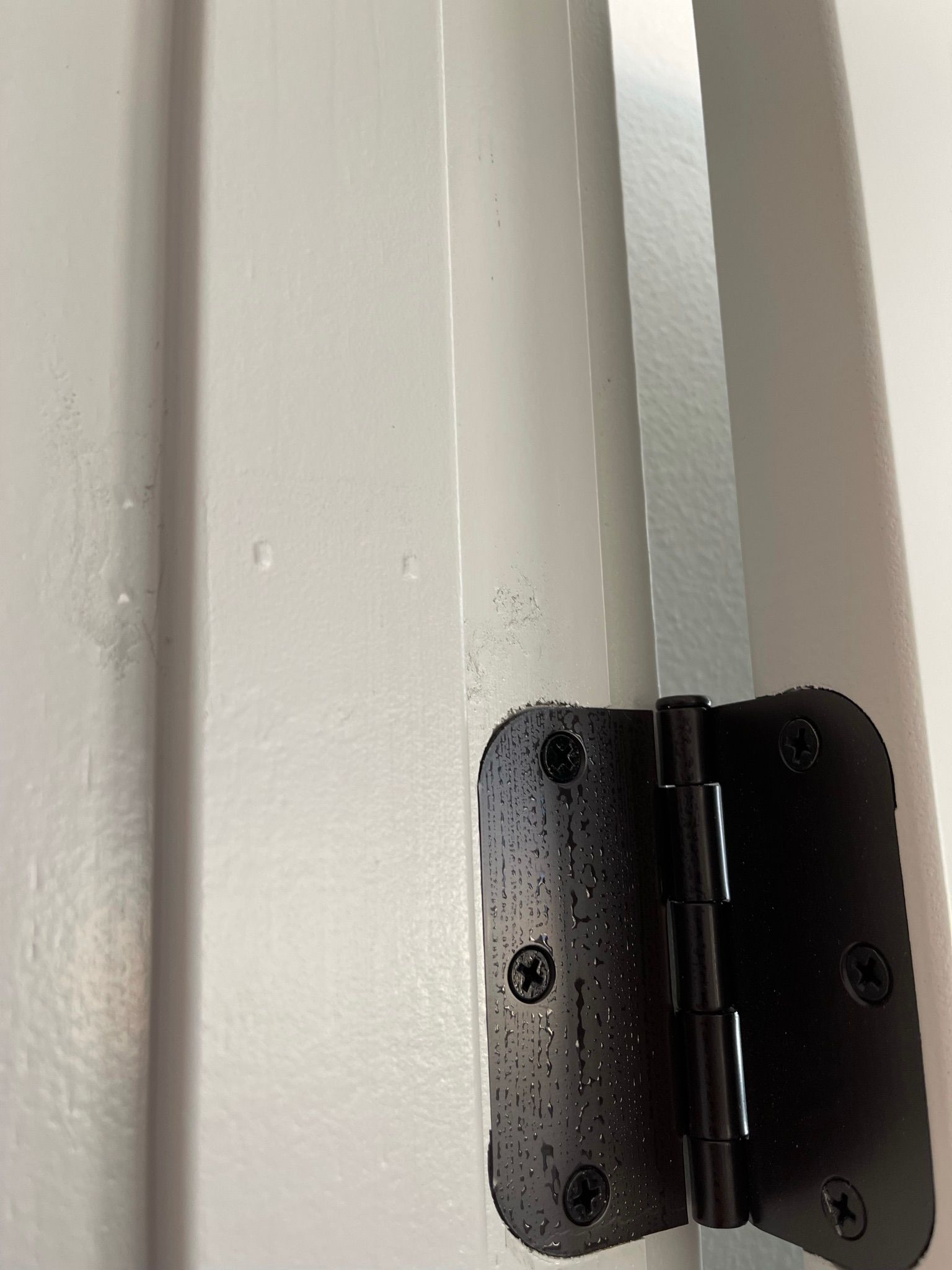  for Tony's Remodeling & Painting in Renton, WA