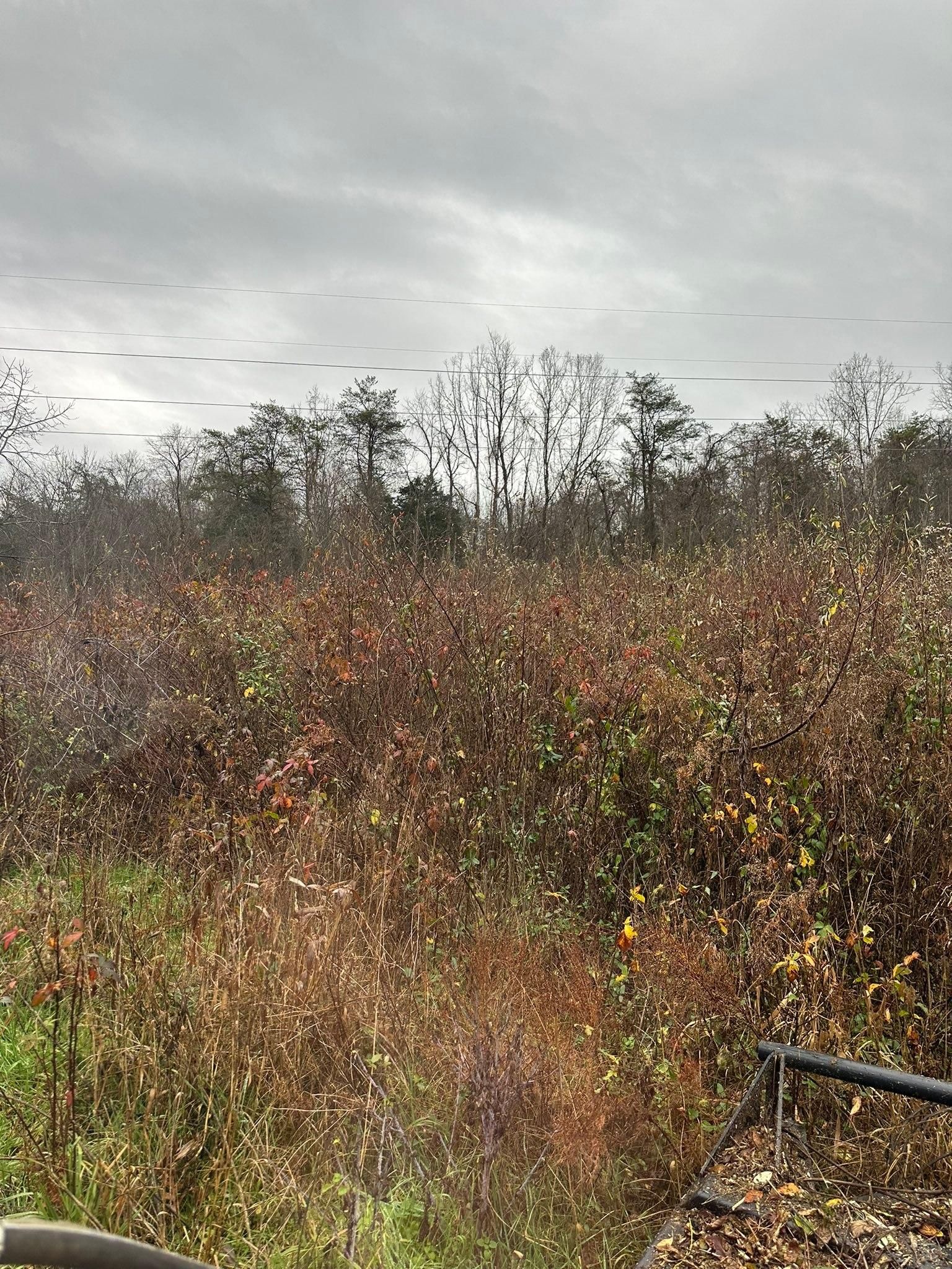  for Excavation Innovations in Rogersville, TN