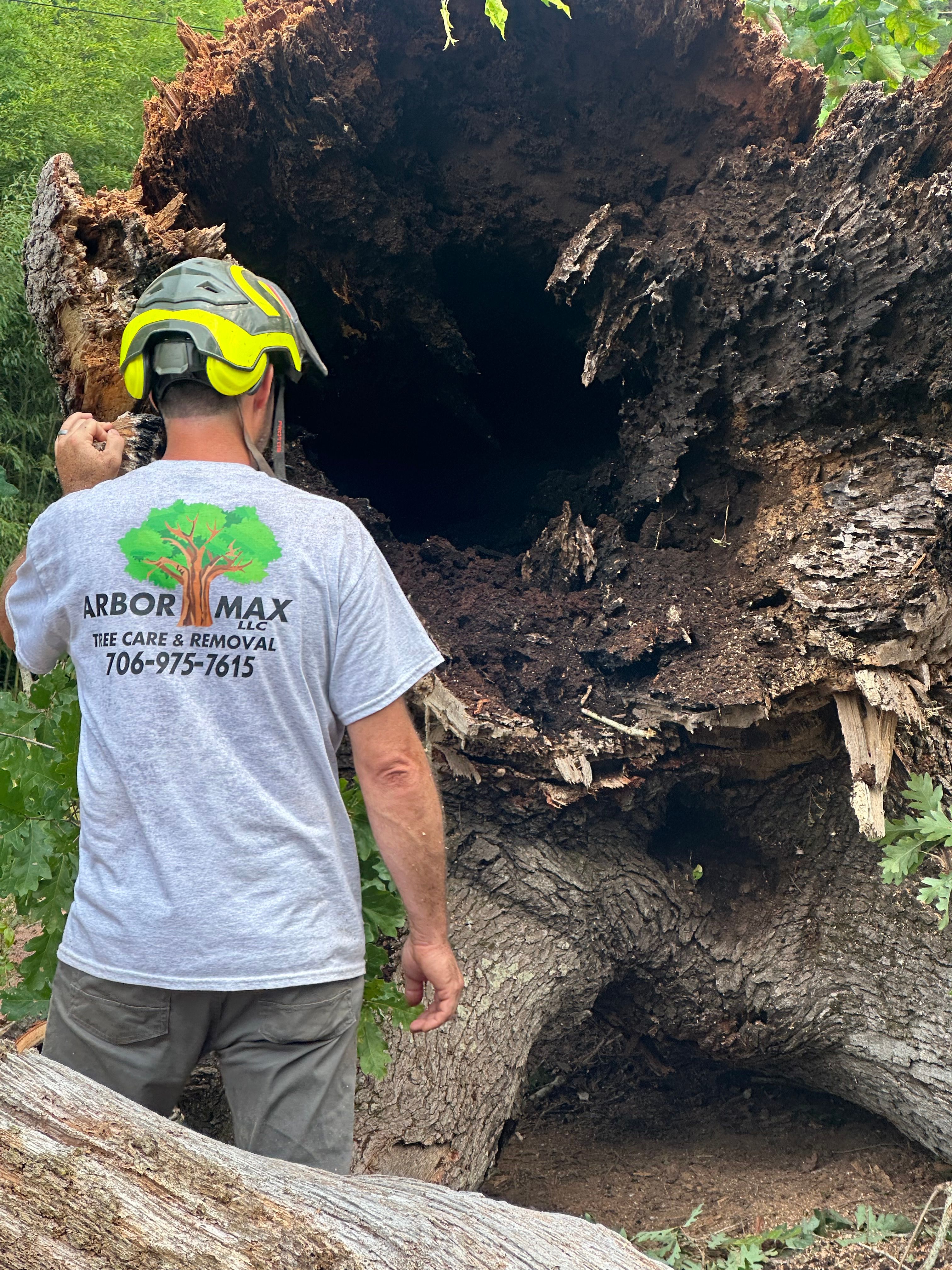 All Photos for ArborMax in Thomaston, GA