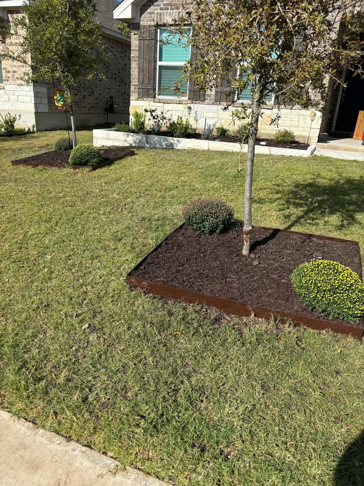  for Pina Landscaping in Austin, TX