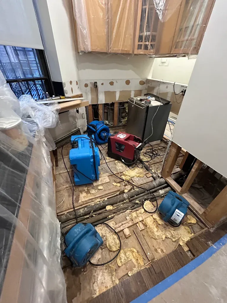  for CertaClean Restoration in Yonkers, NY