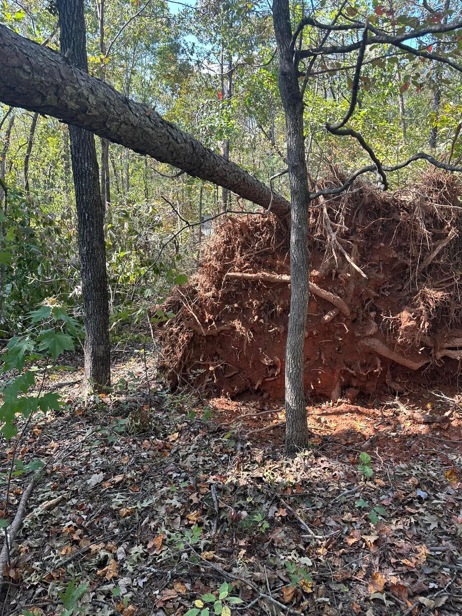 All Photos for The Flip Flop Roofer in Statesville, NC