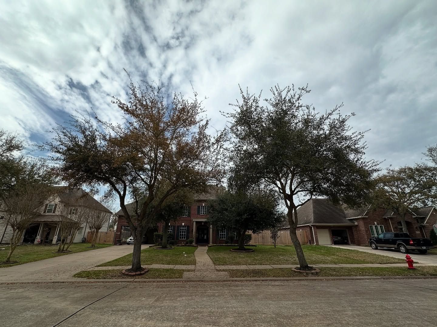  for C&B Ramos Tree Service in Houston, TX