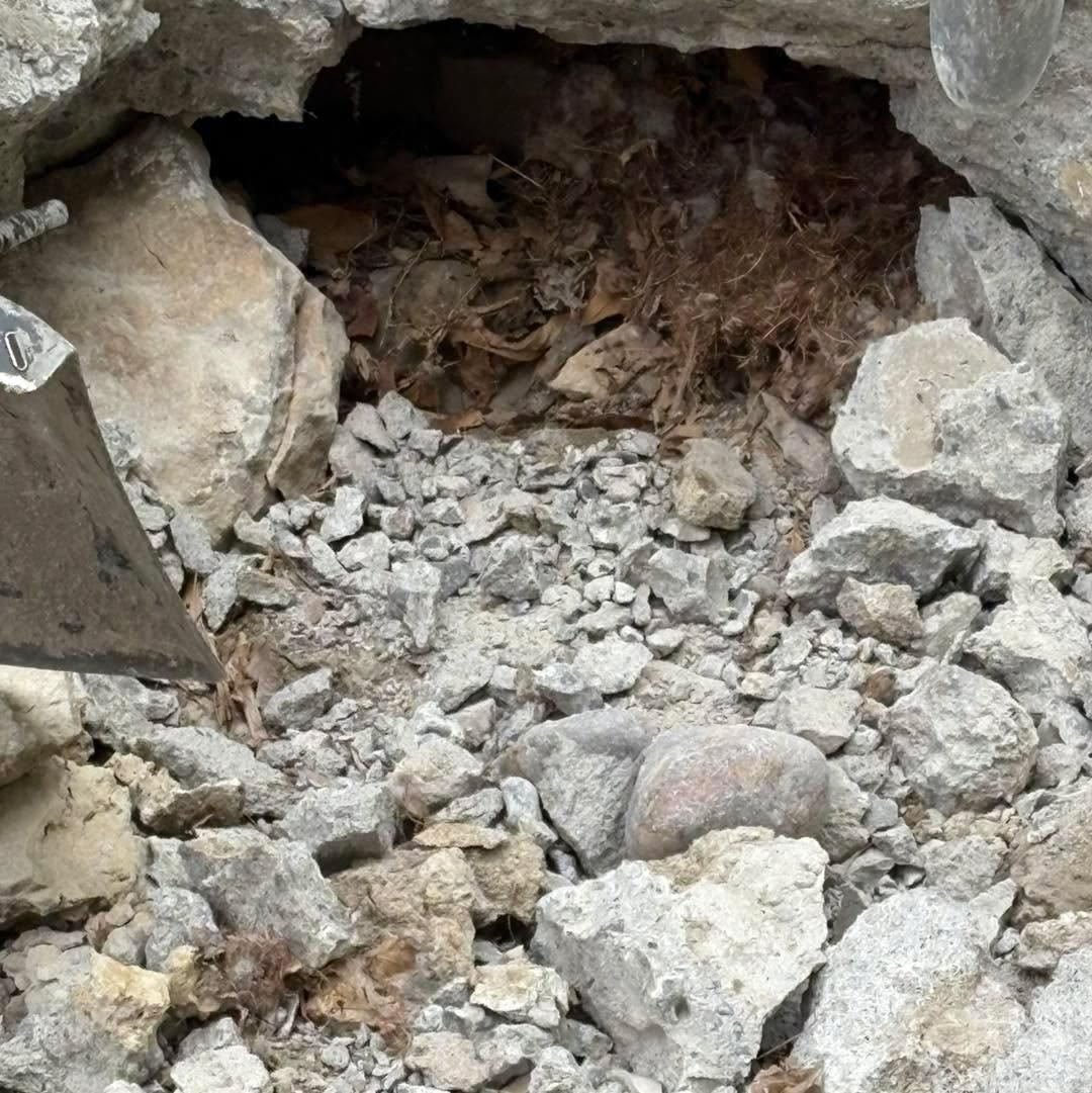 All Photos for Outdoor Dynamics LLC in Sherburne County, MN