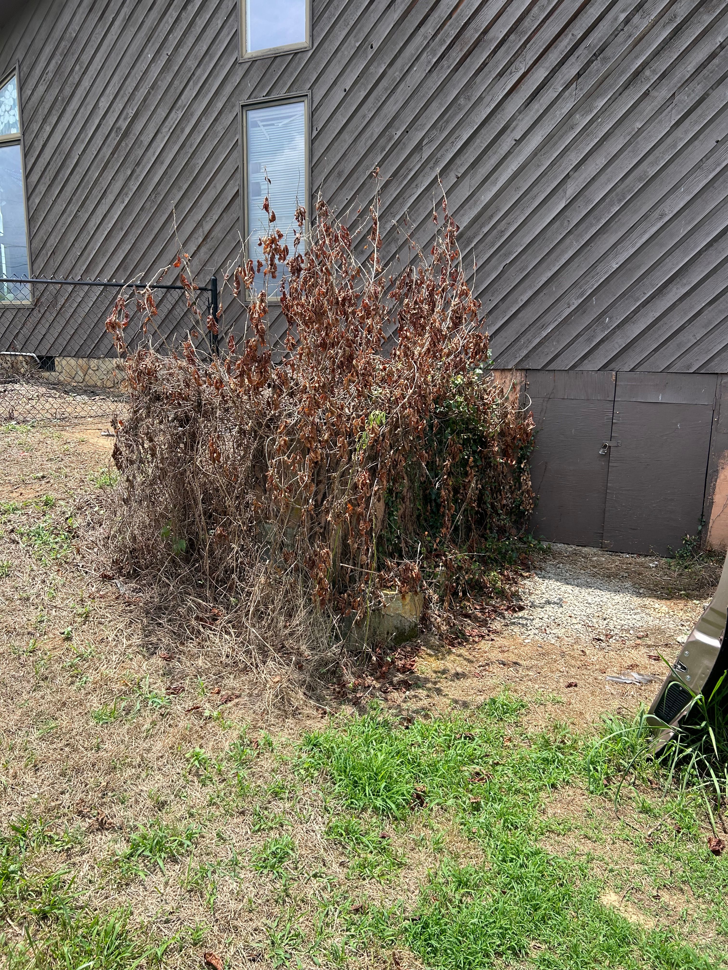 All Photos for Gatrell Landscape & Tree Removal in Bluff City, TN