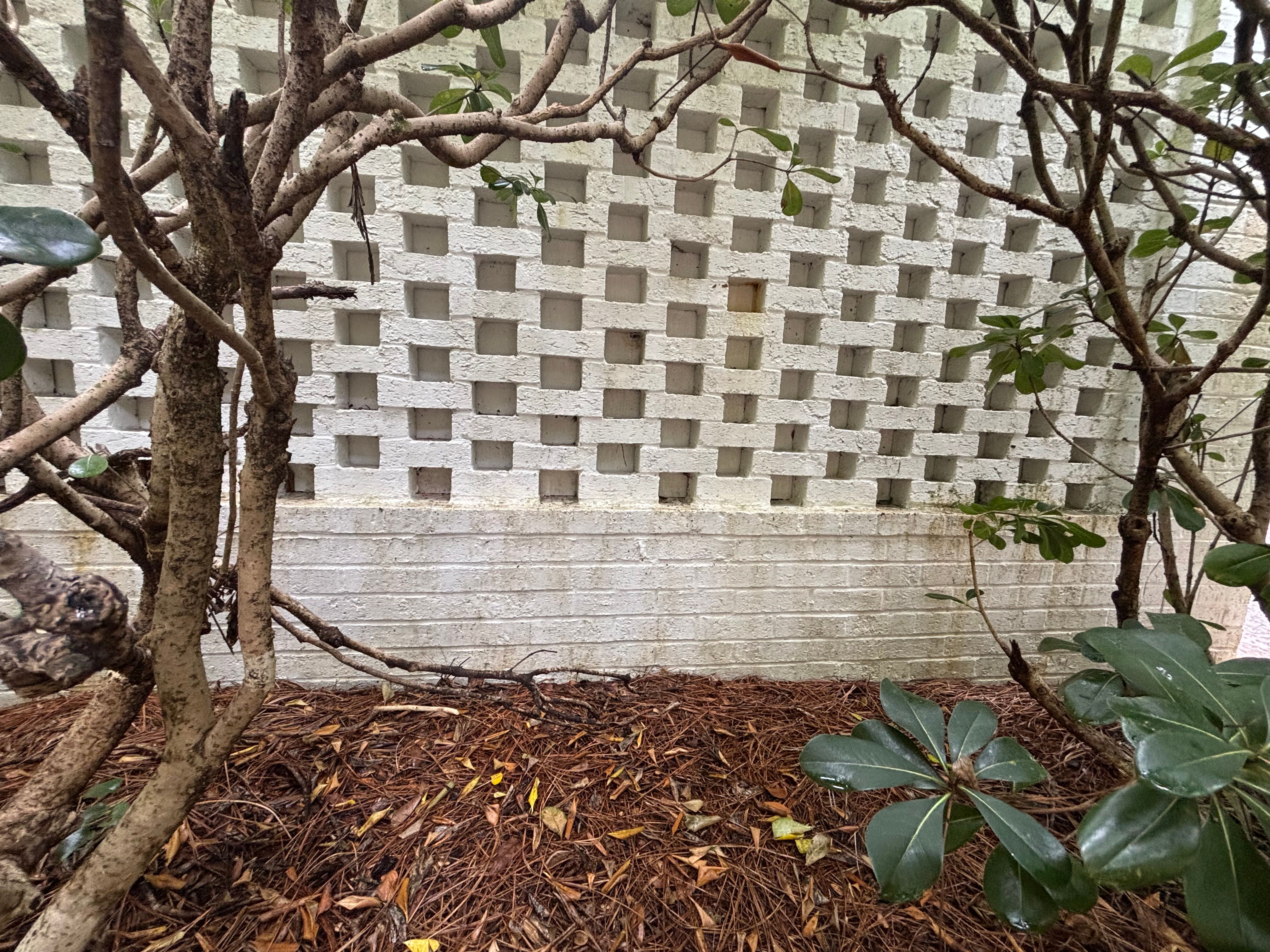  for Living Stream Pressure Washing in Wilmington, NC