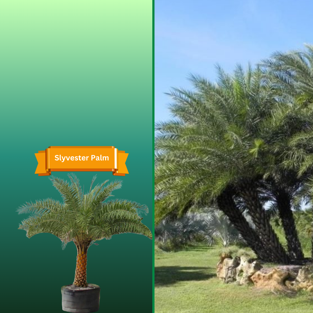  for R.B. & Company in Belleview, FL