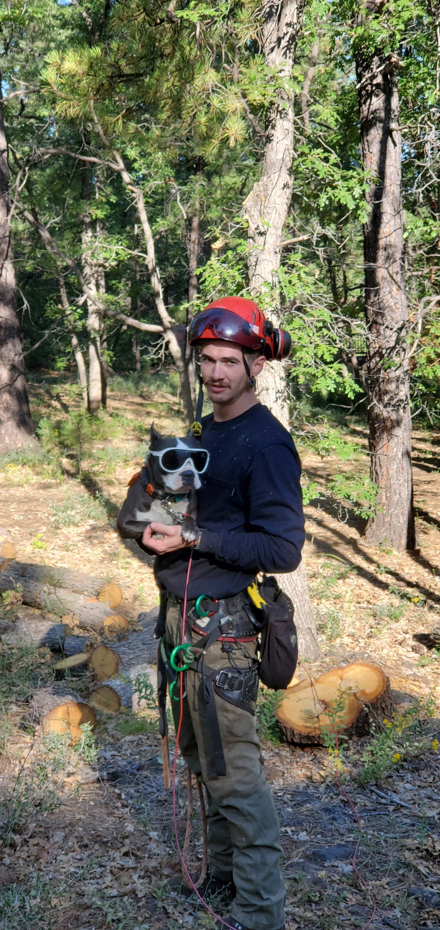  for StockPro Tree Specialists in Show Low, AZ