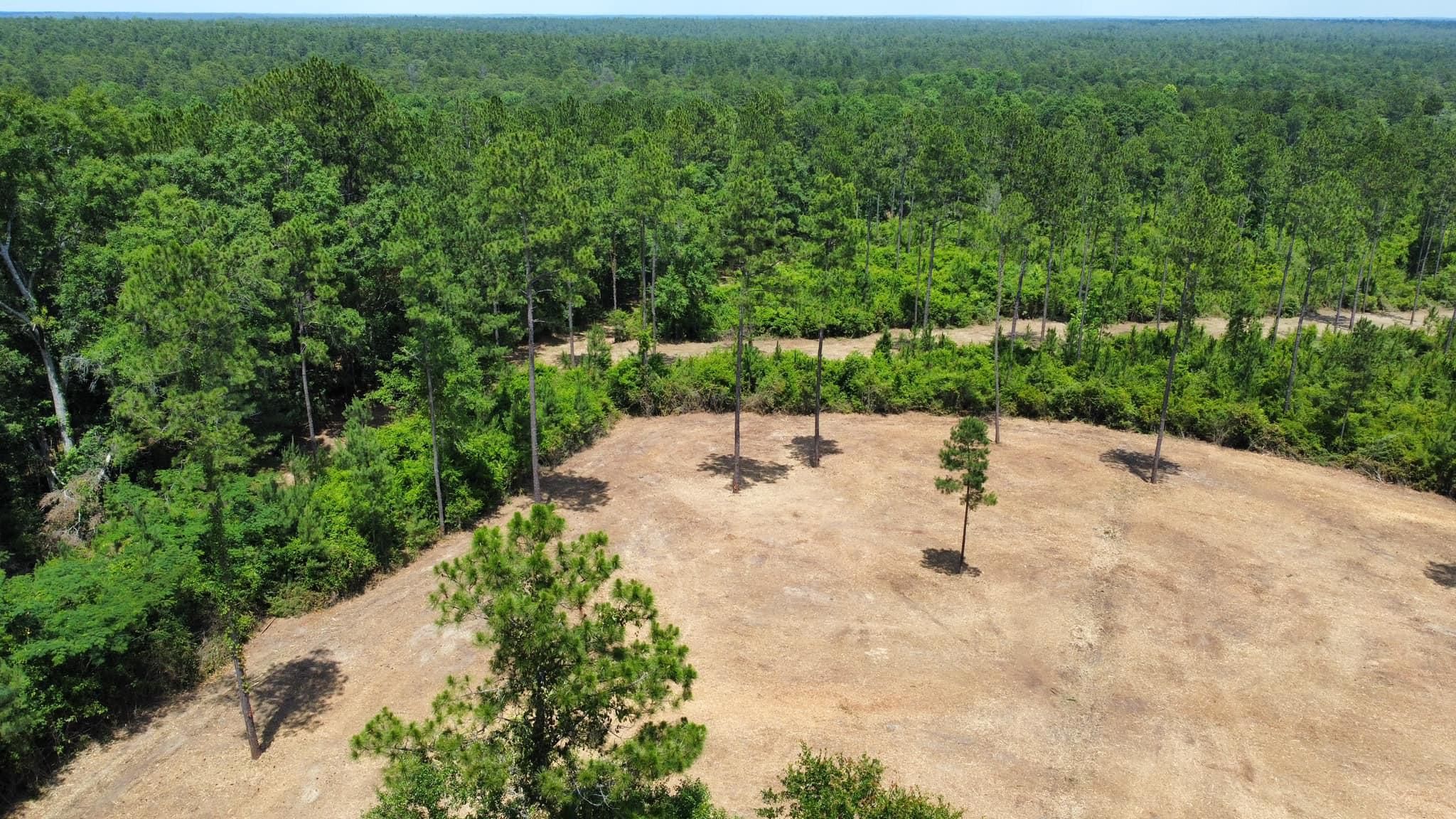 All Photos for White’s Land Maintenance in Milton,, FL