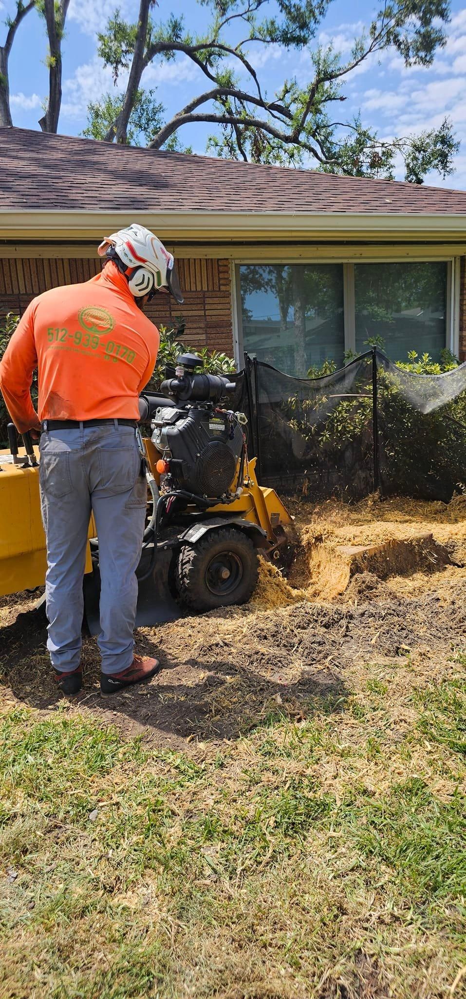  for Servin's Tree Care  in Houston, TX