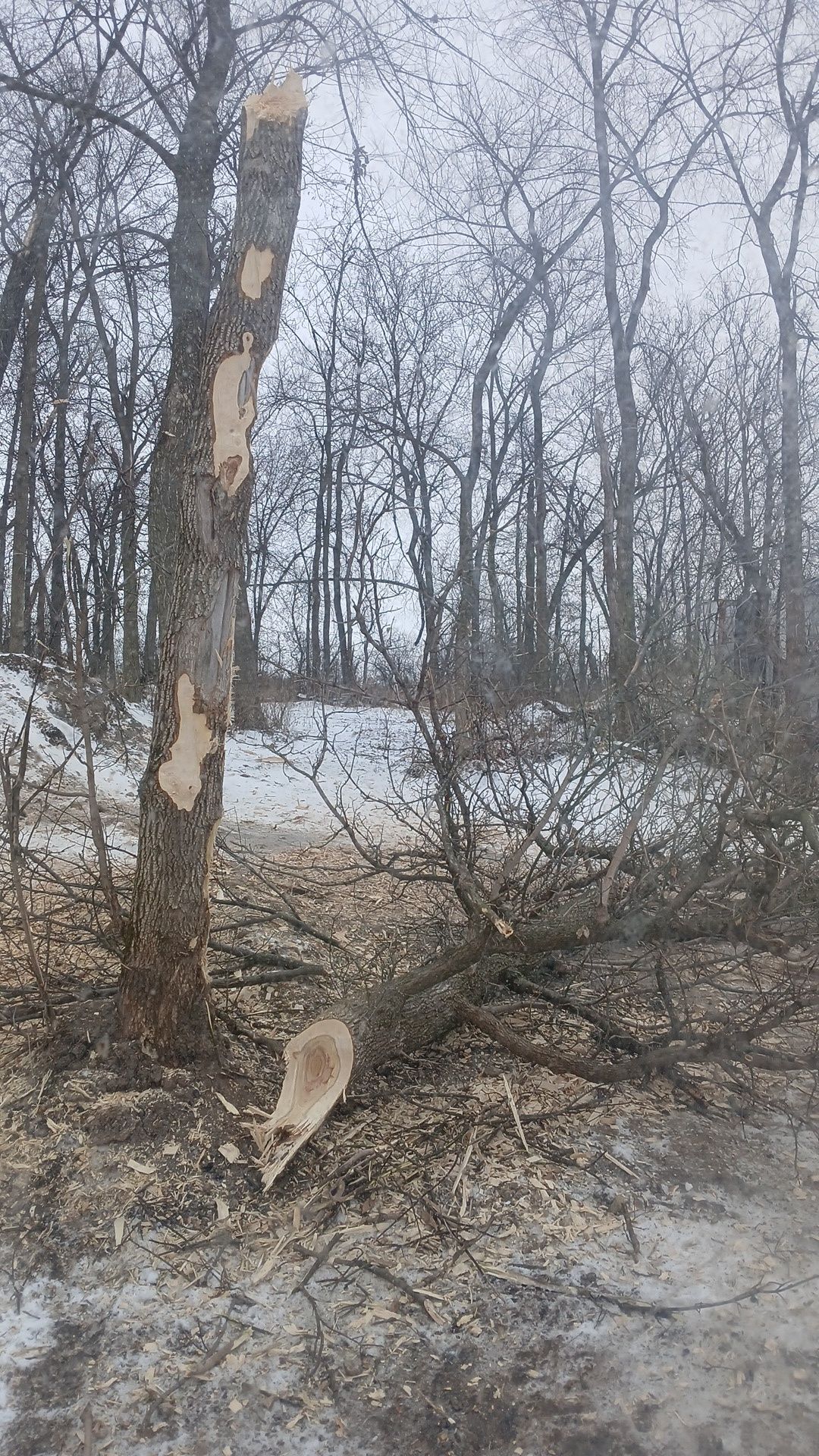  for Willing Trucking & Excavating in Evansville, WI