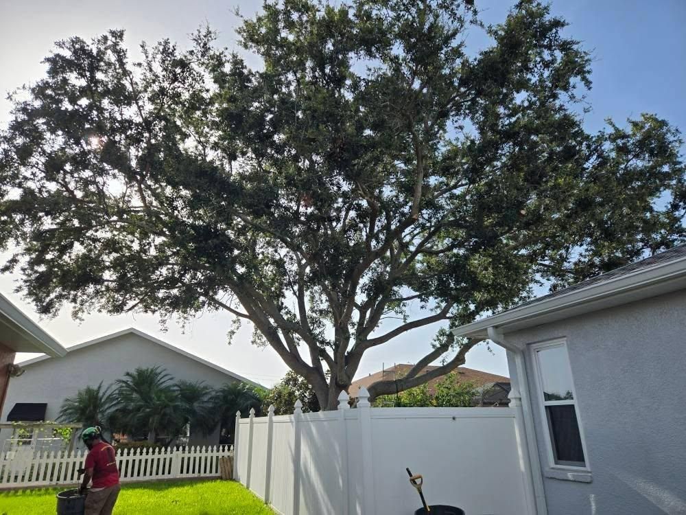 All Photos for TREE BOYS in Ruskin, FL