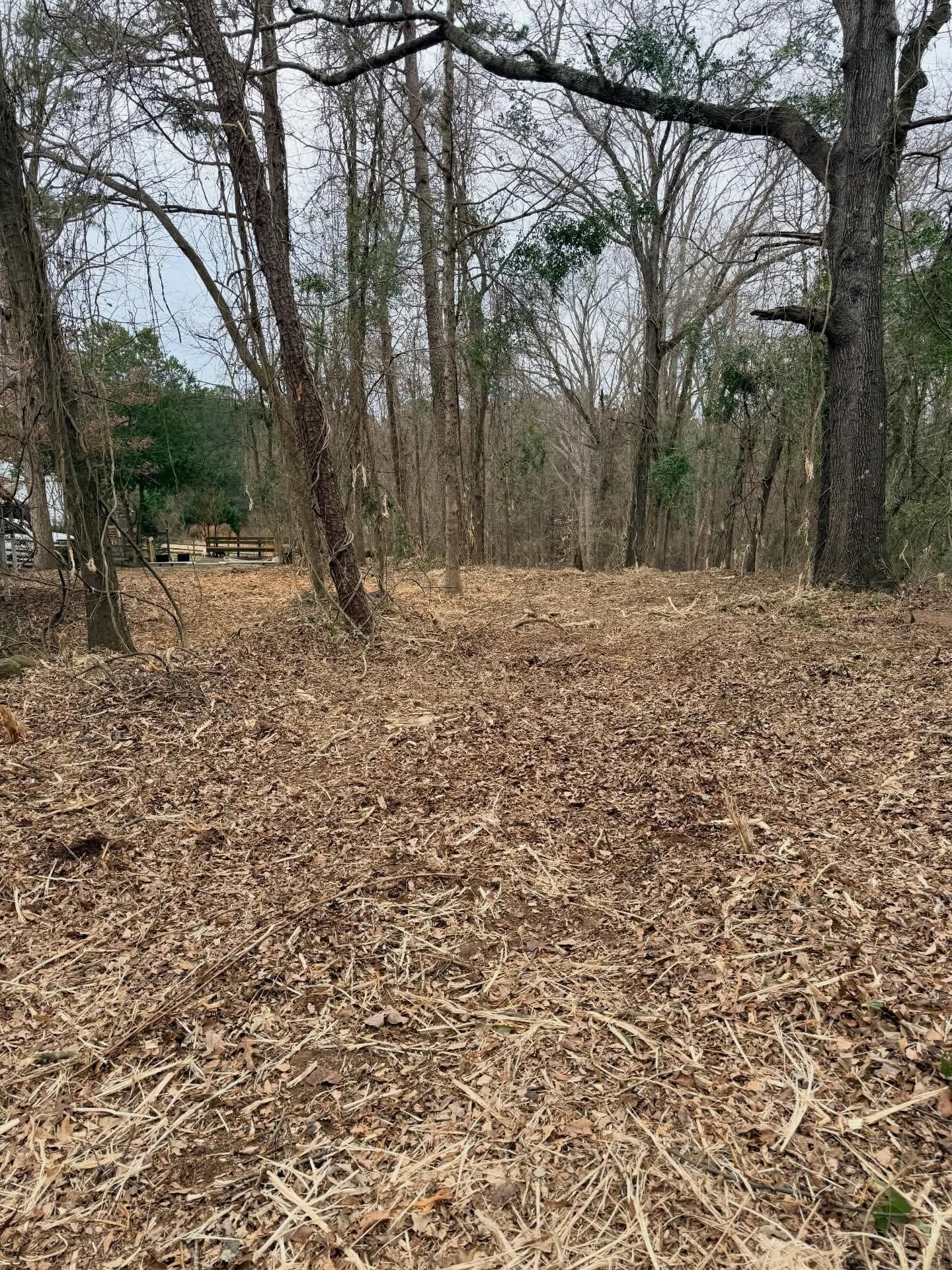  for T Crane Grading LLC in Clarkesville, GA