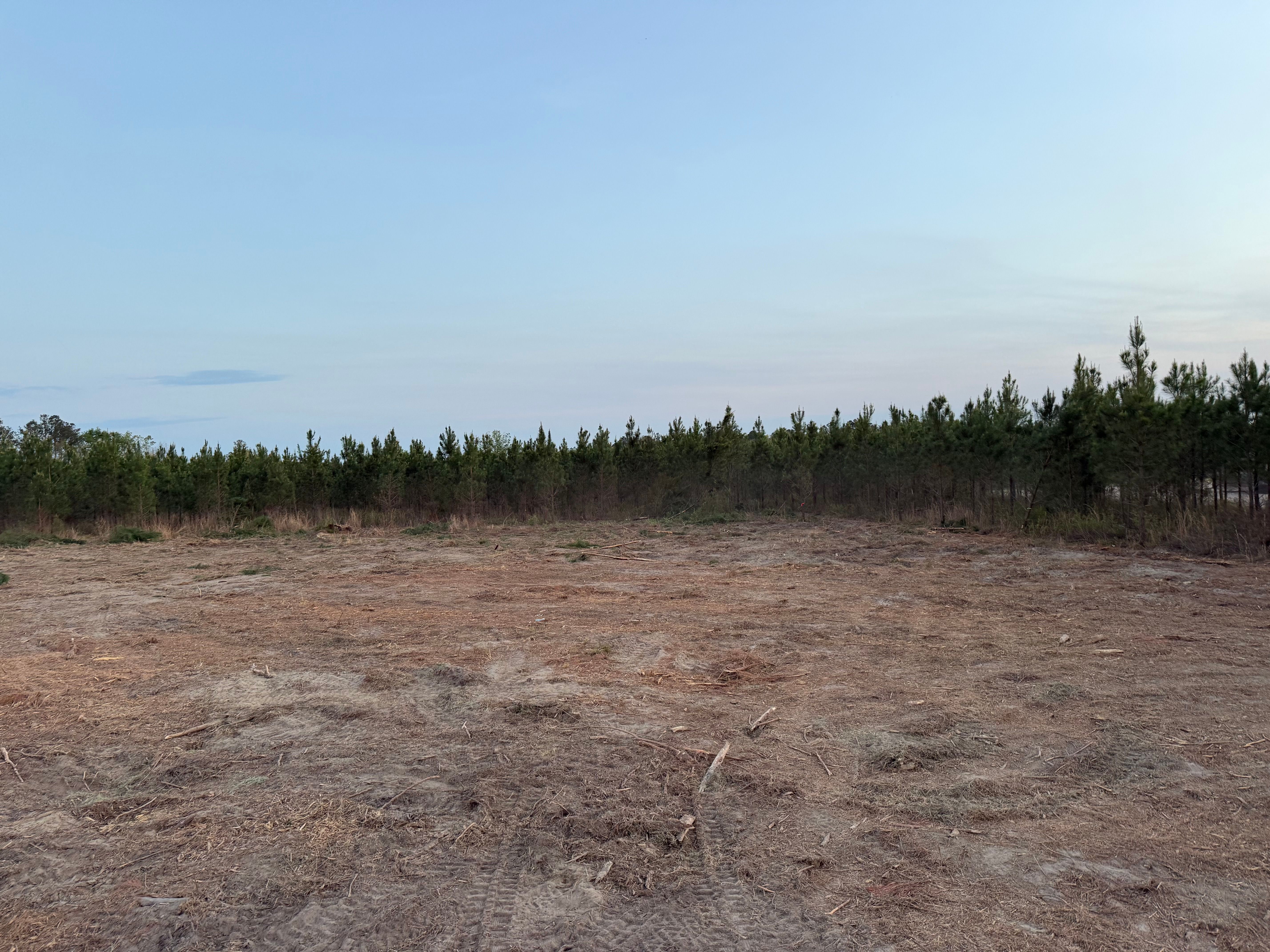  for T N L - Tree and Land Service in Reynolds, GA