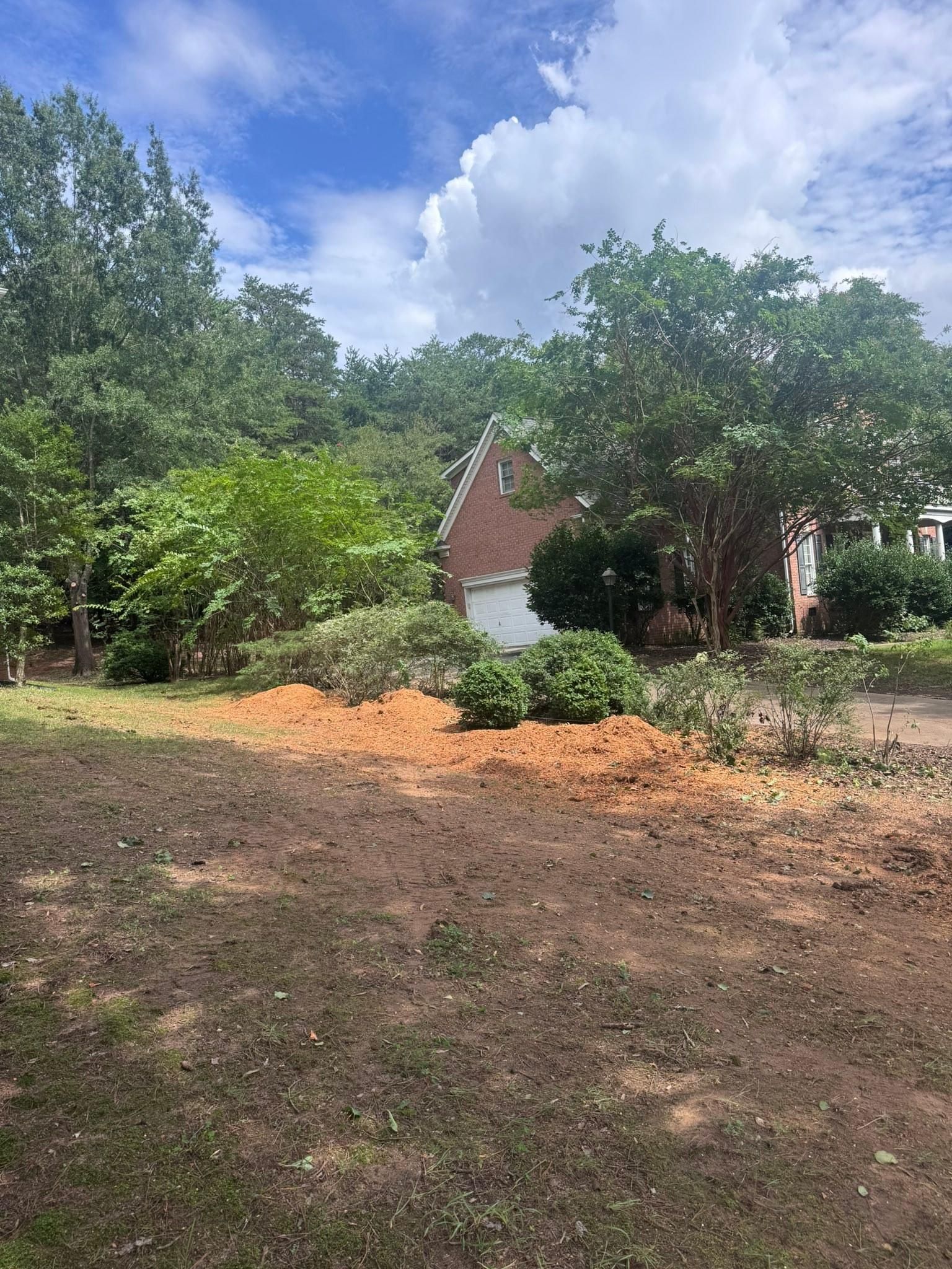  for Diversified Tree Company in Trinity, NC
