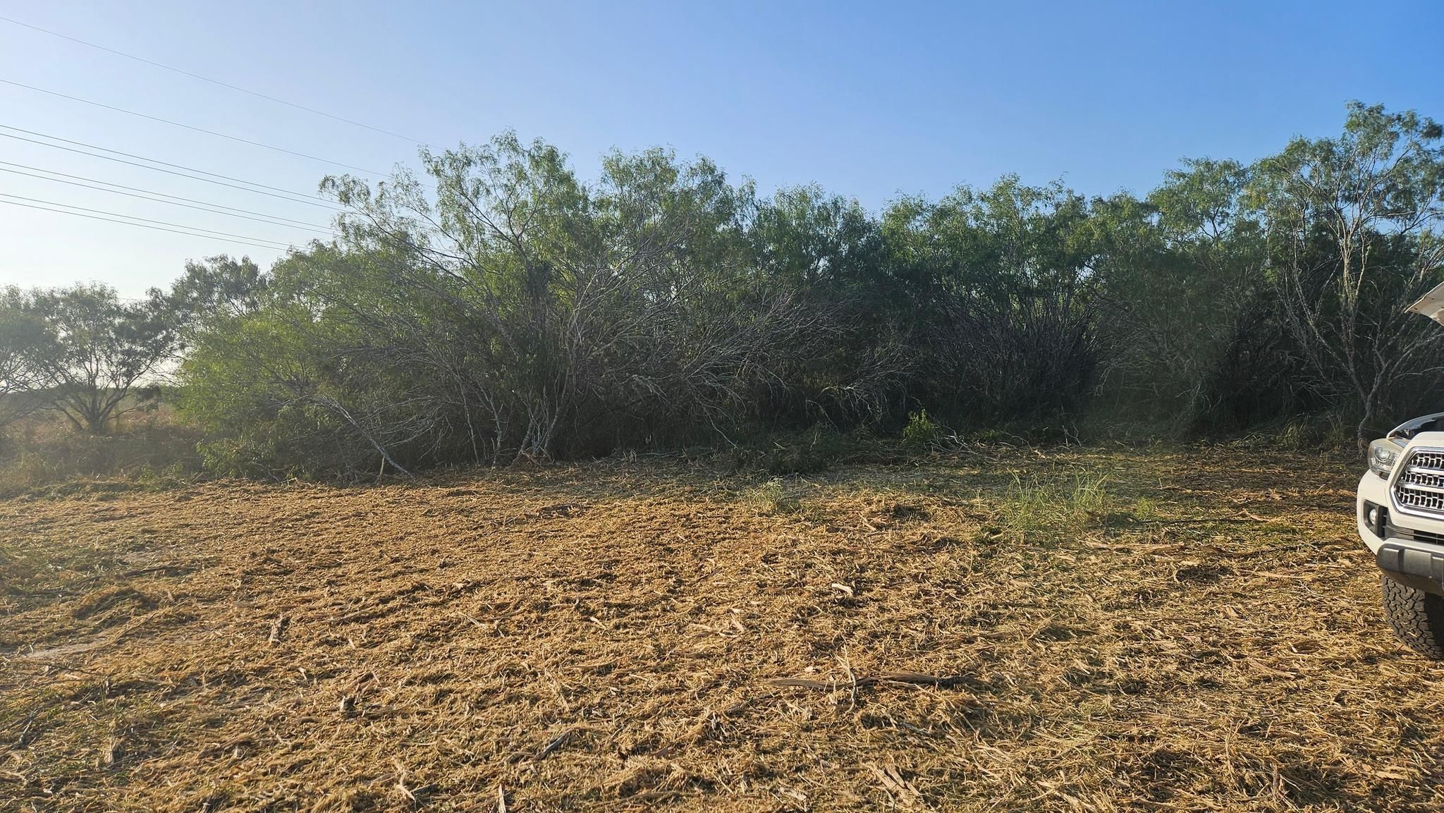 All Photos for Hernandez Land Clearing Services in Alice, TX