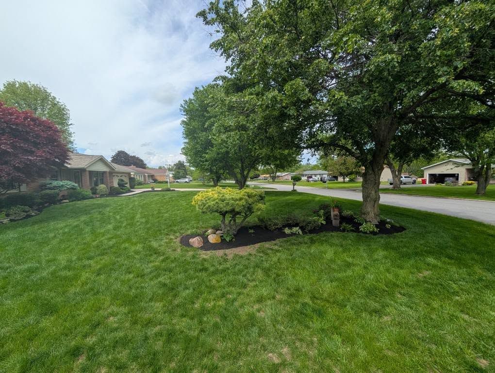  for Knapps Landscaping and Lawn Care in Marion, OH