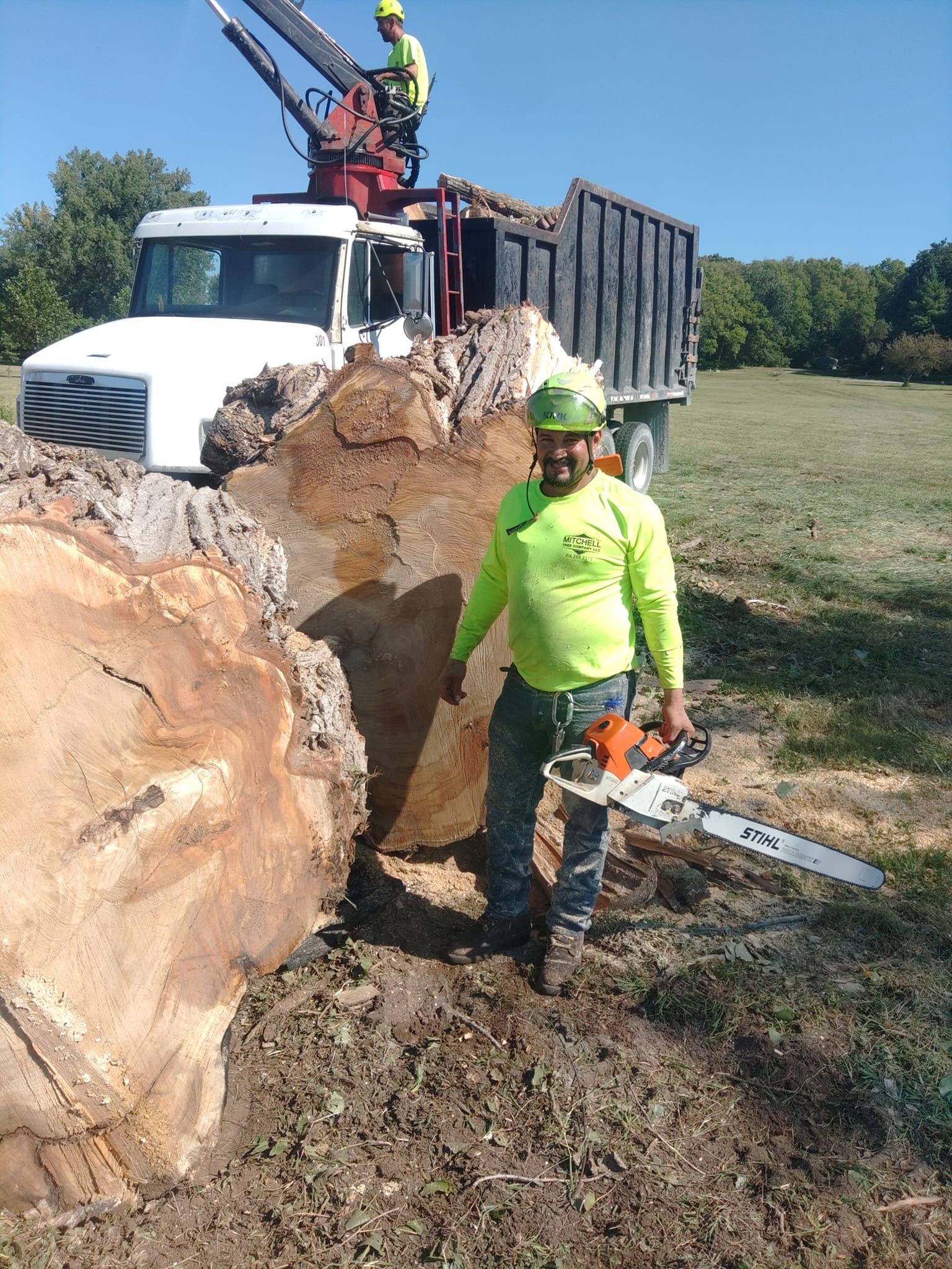 for Mitchell Tree Company in Lathrop, MO
