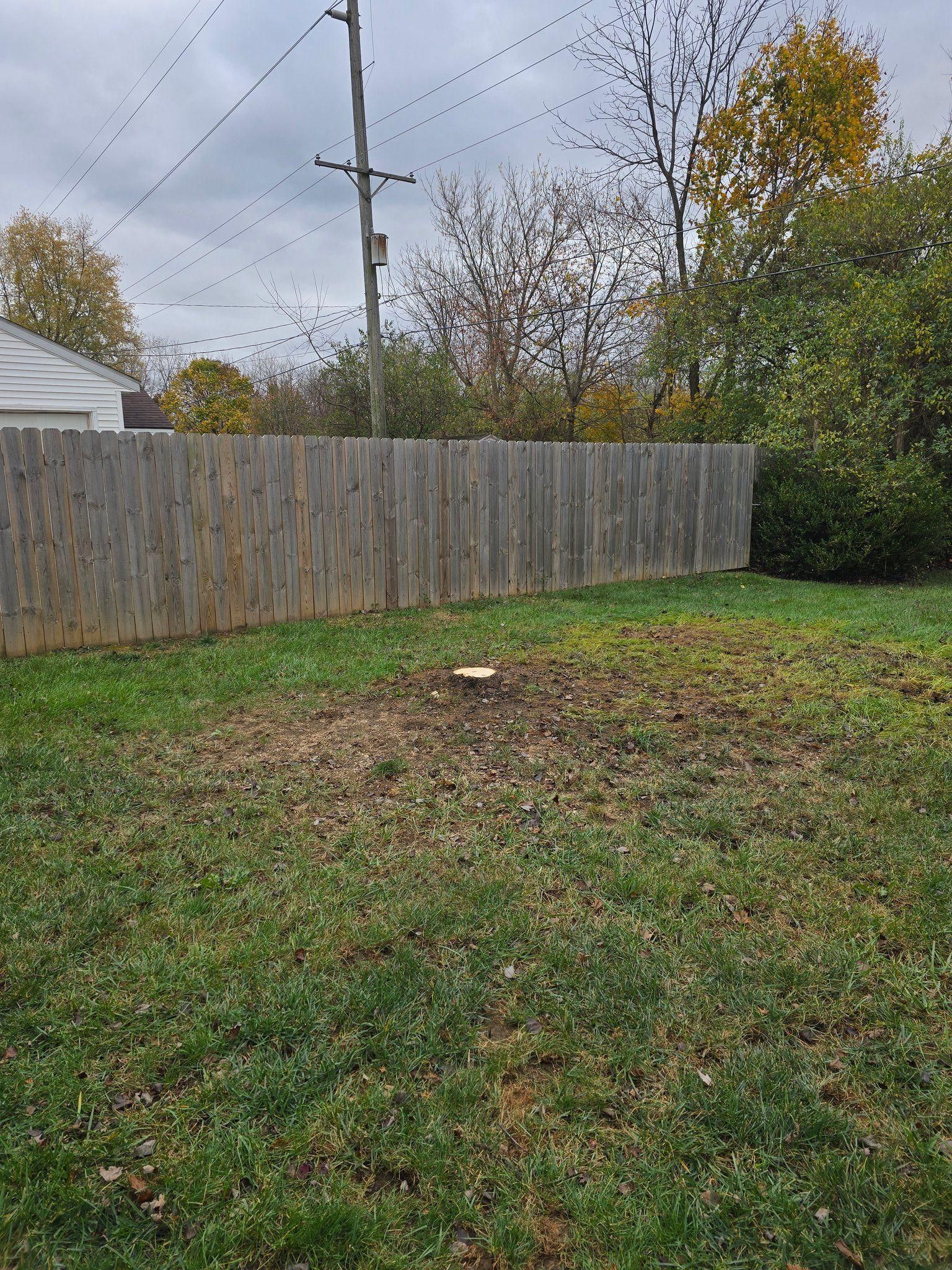 All Photos for Tingley's Green Land Services in Springfield, Ohio