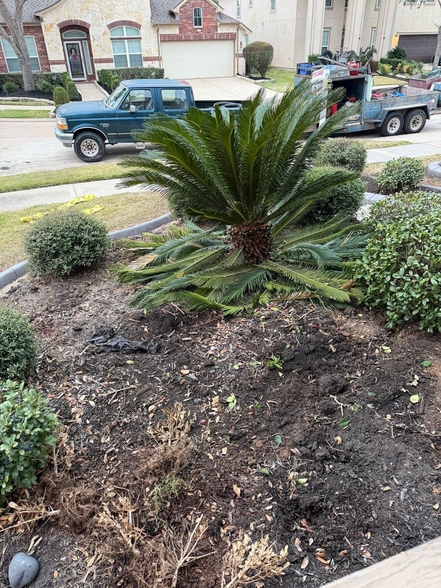  for Texas Curb N Borders in Houston, TX