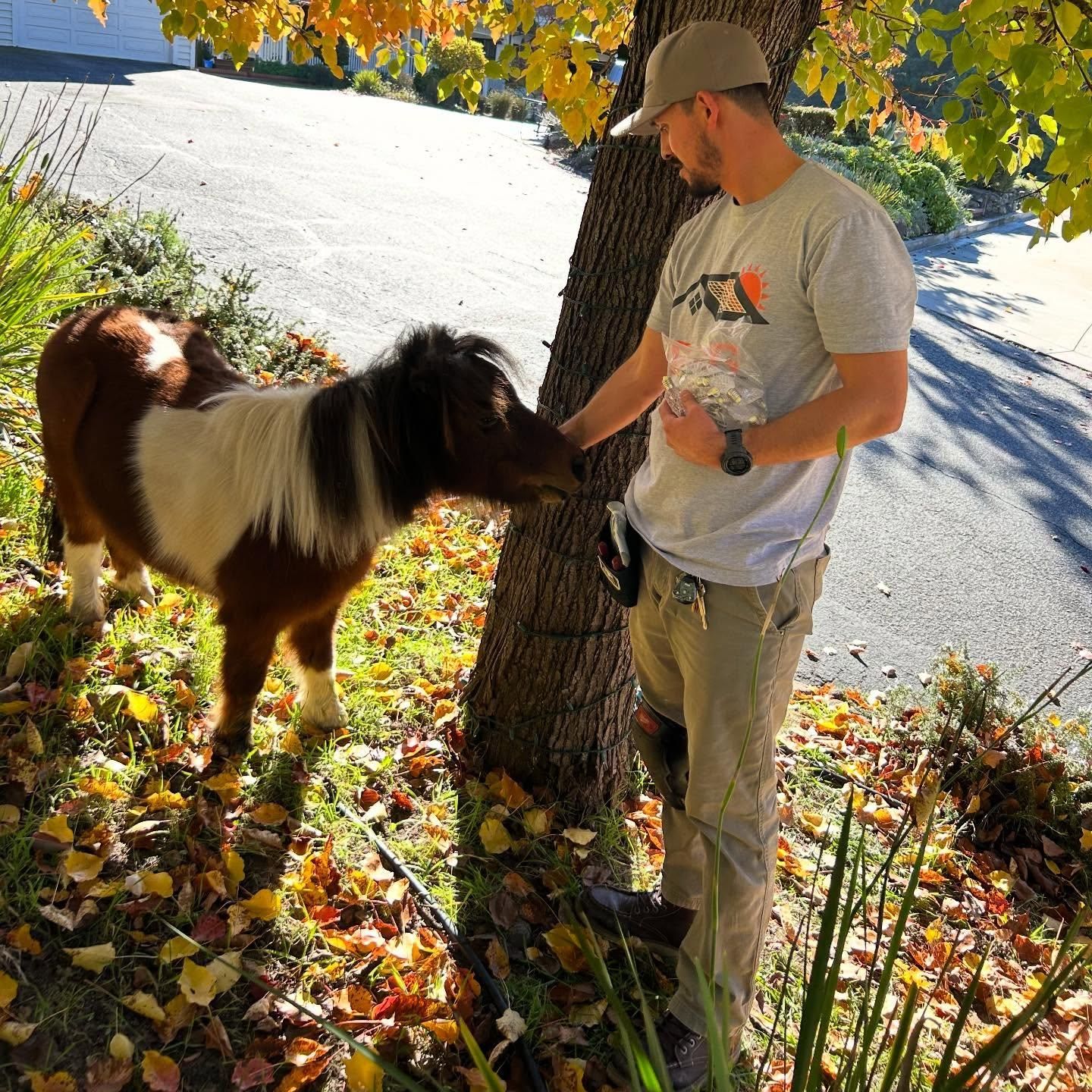  for GGG Home Services in San Jose, CA