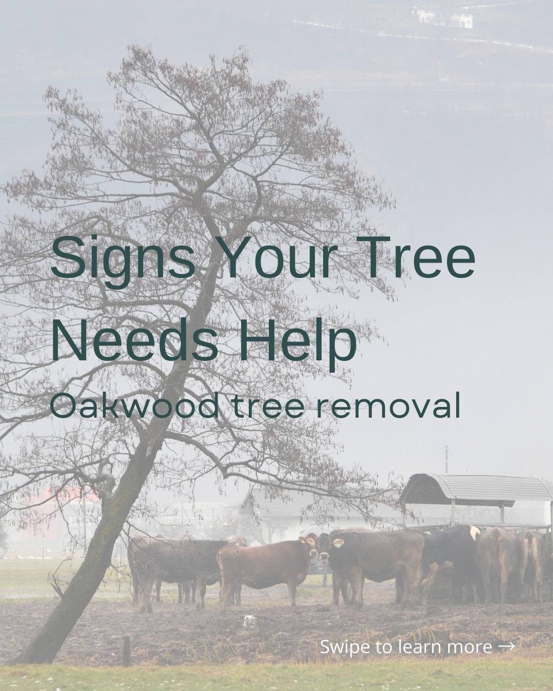  for Oakwood Tree Removal LLC in Oak Creek,  WI