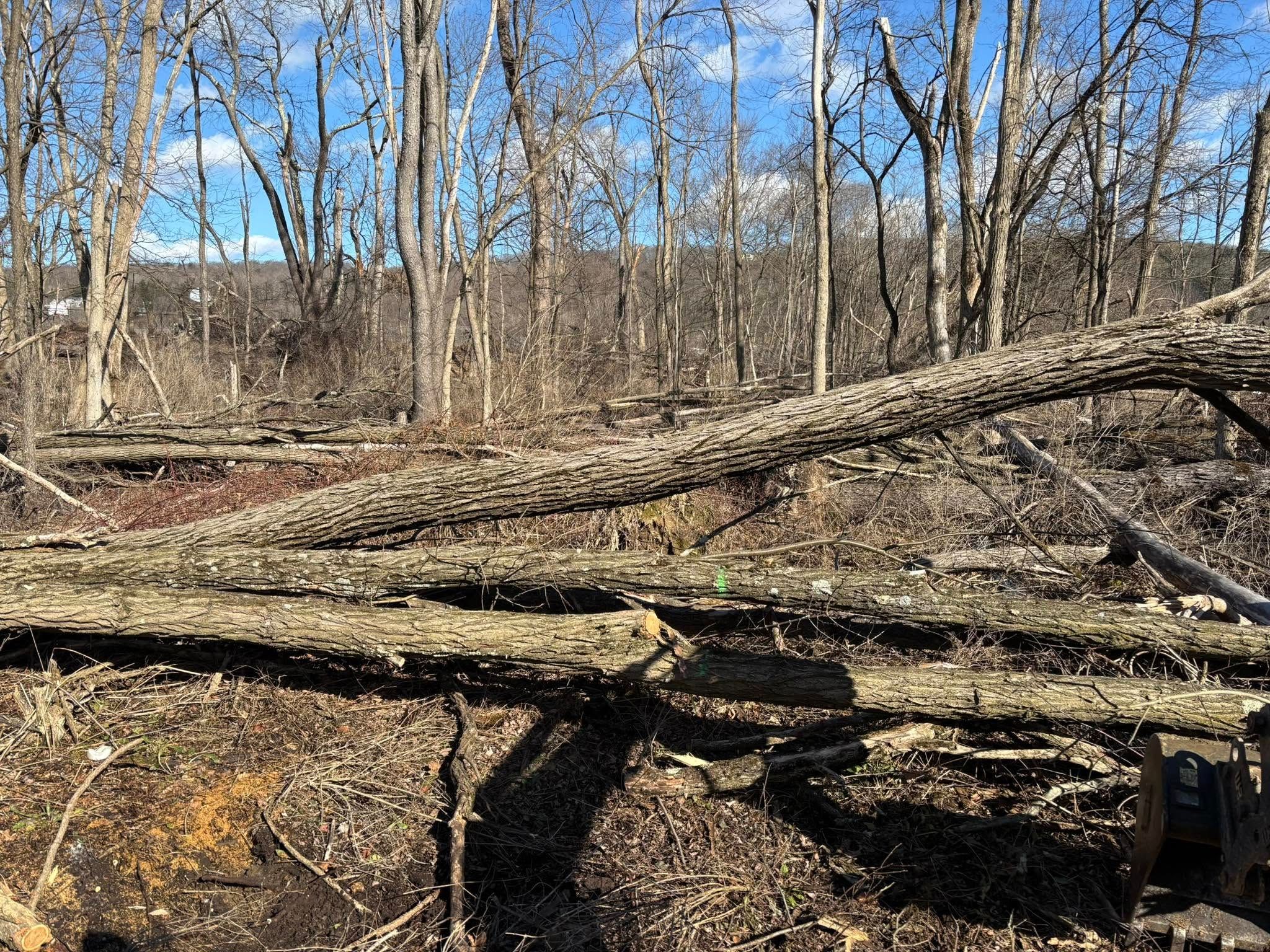  for Brax Forestry in Endicott, NY