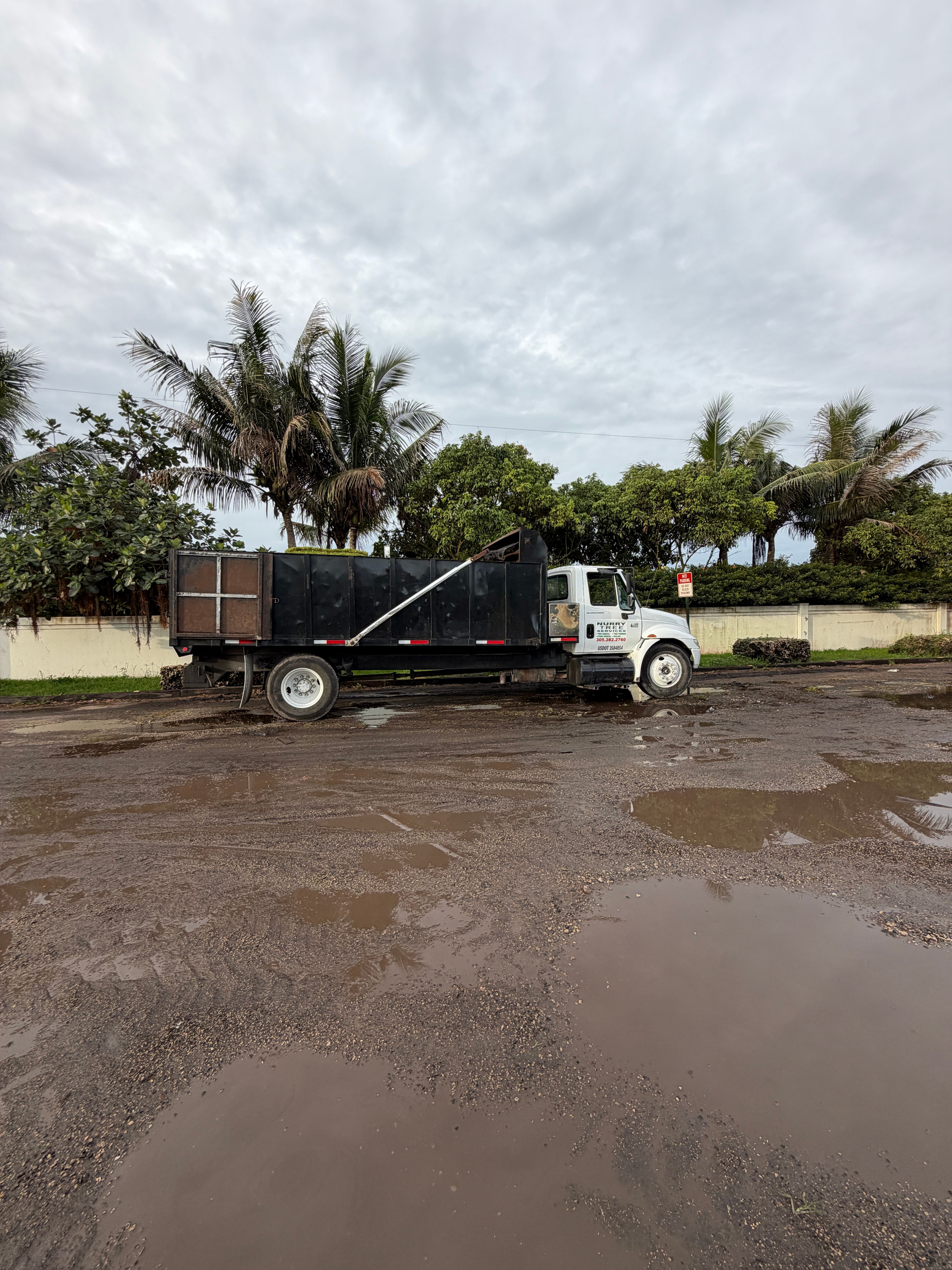  for Nurry Tree Services in Miami, FL