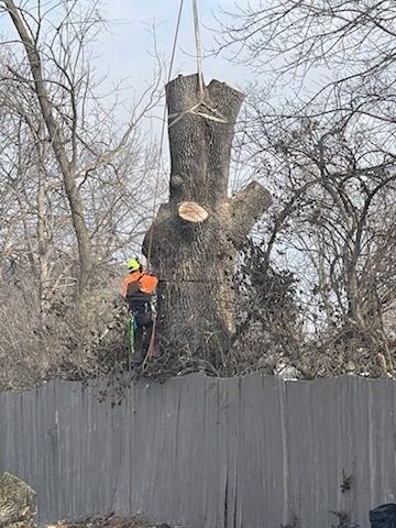  for Advanced Tree Solutions in Rockville, IN