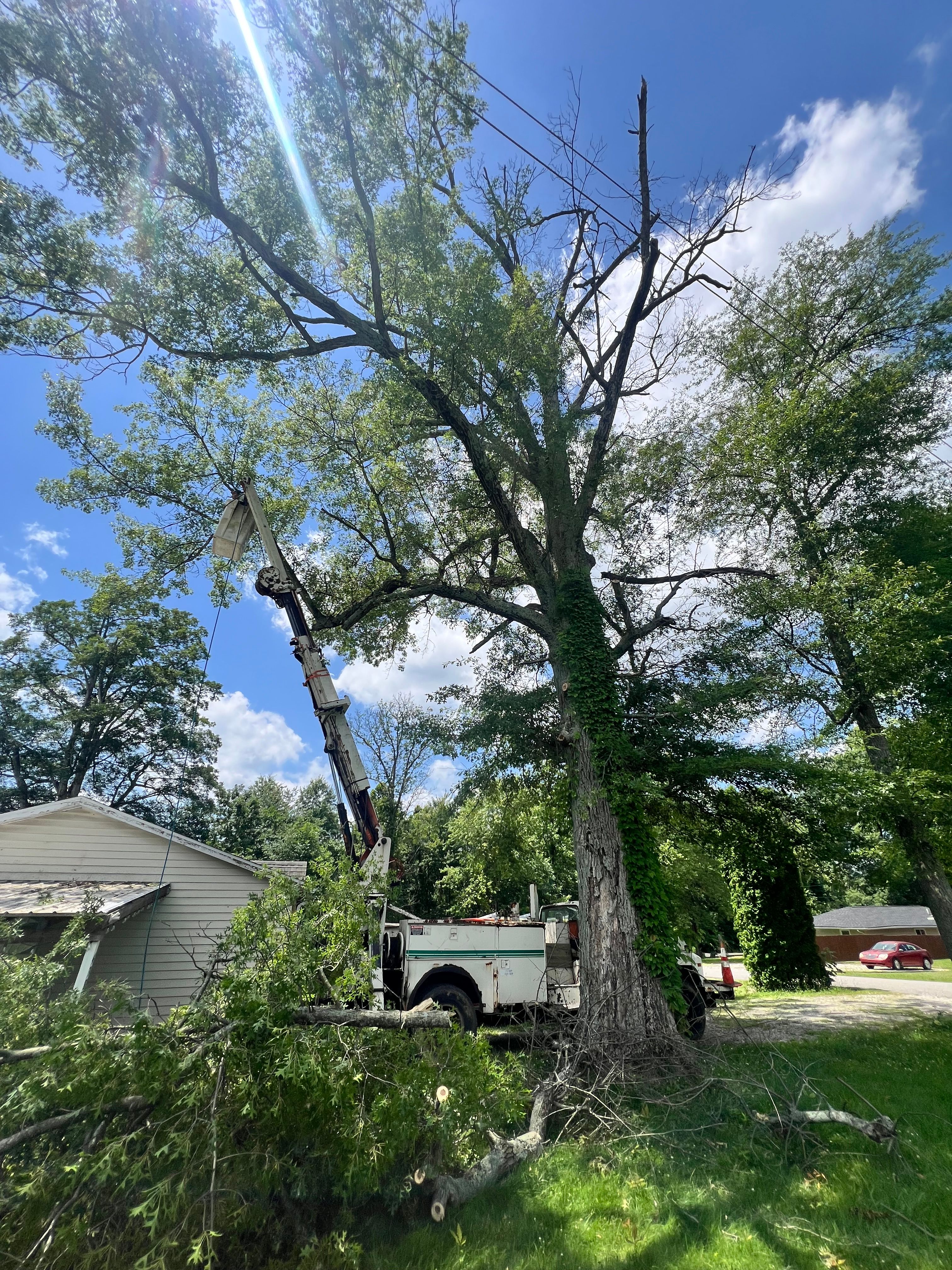 All Photos for Kadin’s Tree Service in North Vernon, IN