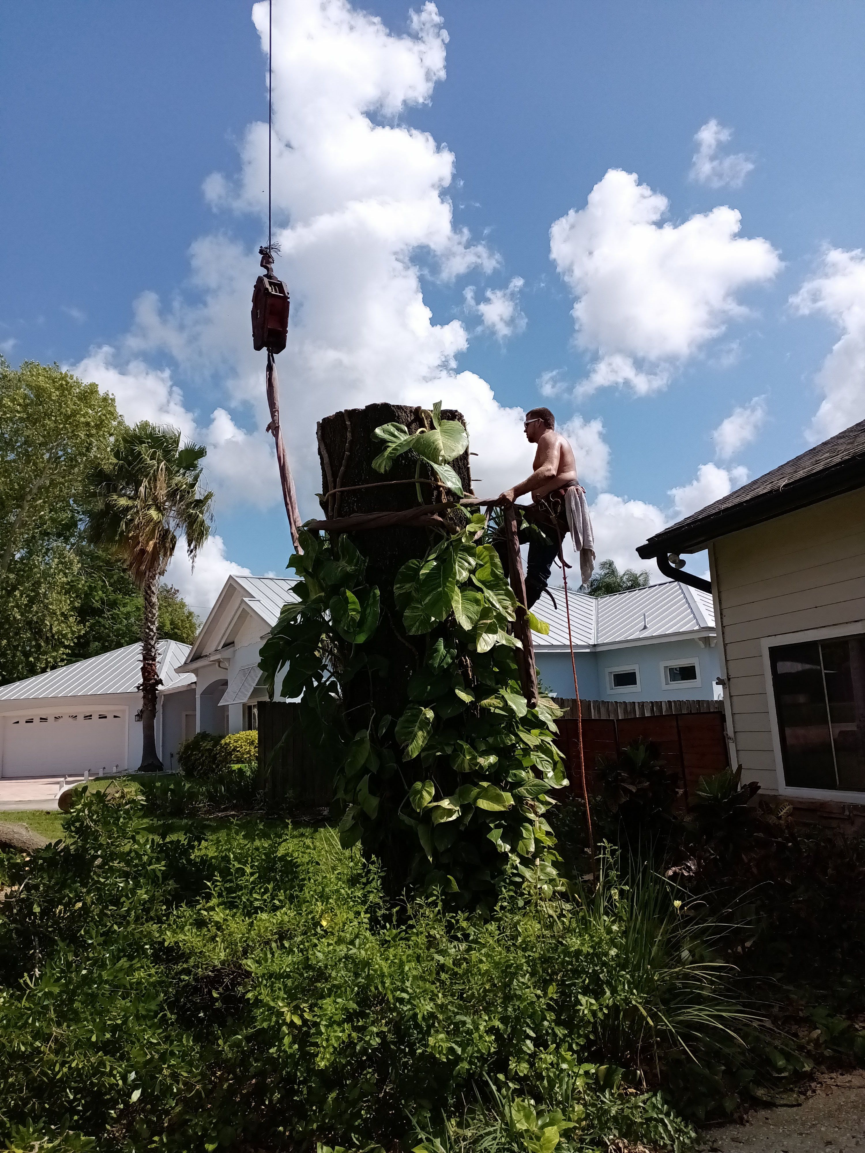  for A Southern Style Tree Service in Orlando, FL