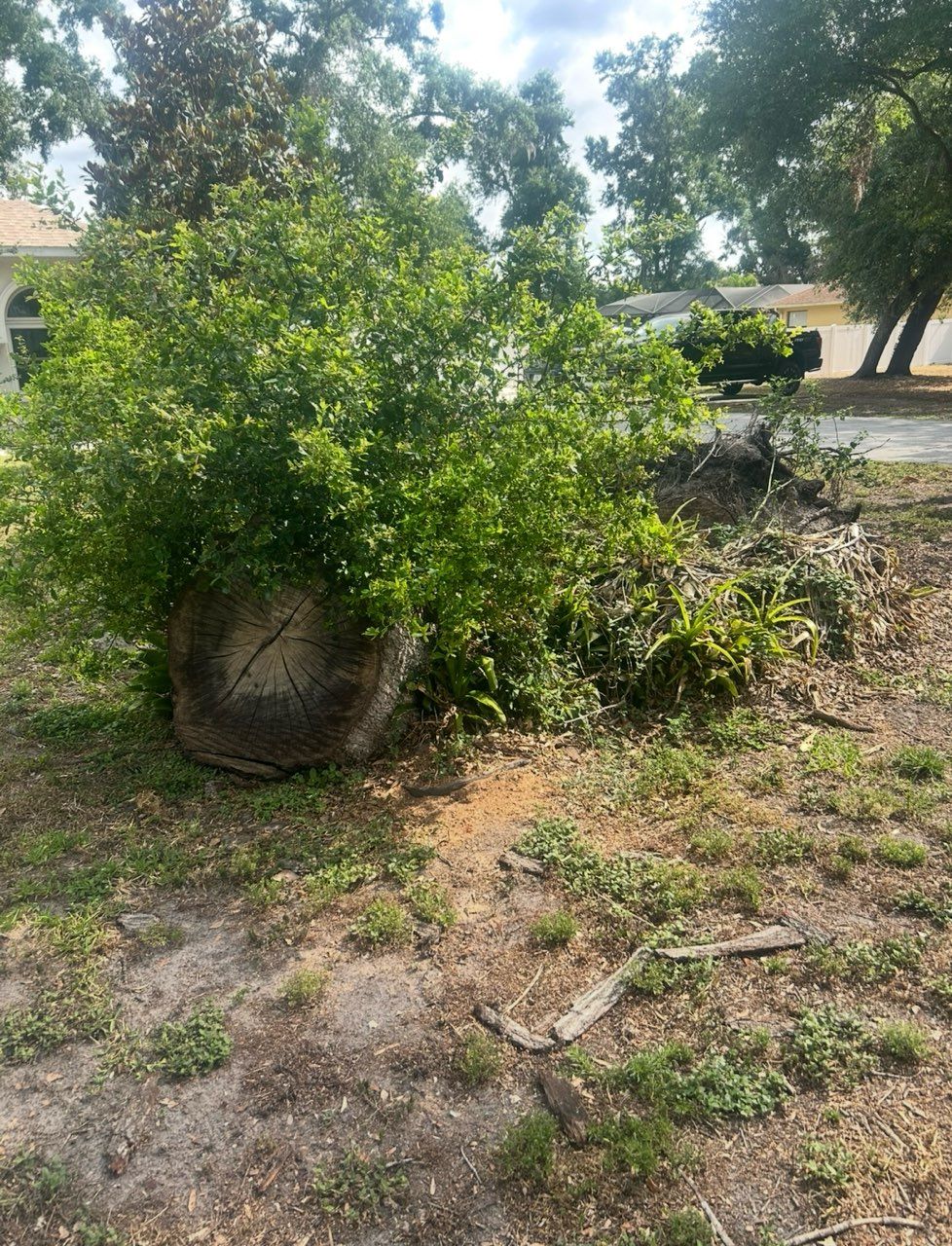  for Greene Acres Stump Grinding in Plant City, FL