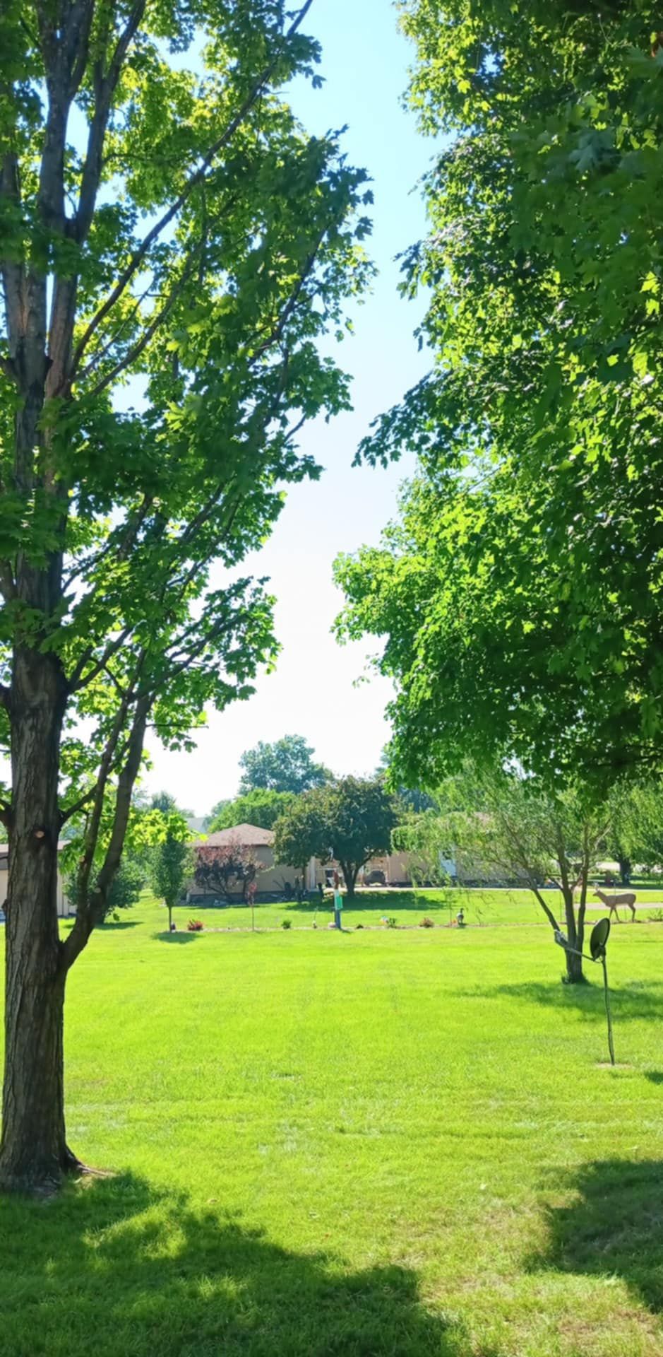  for Lawn Ranger Yard And Tree Service LLC in Ottumwa, IA