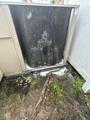 All Photos for Park Place Property Maintenance in Essex County, NJ