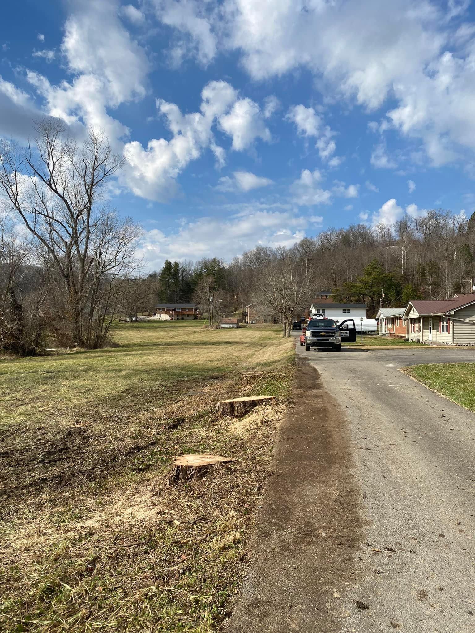 Fall and Spring Clean Up for Atwood’s Tree Care in Liberty,  KY