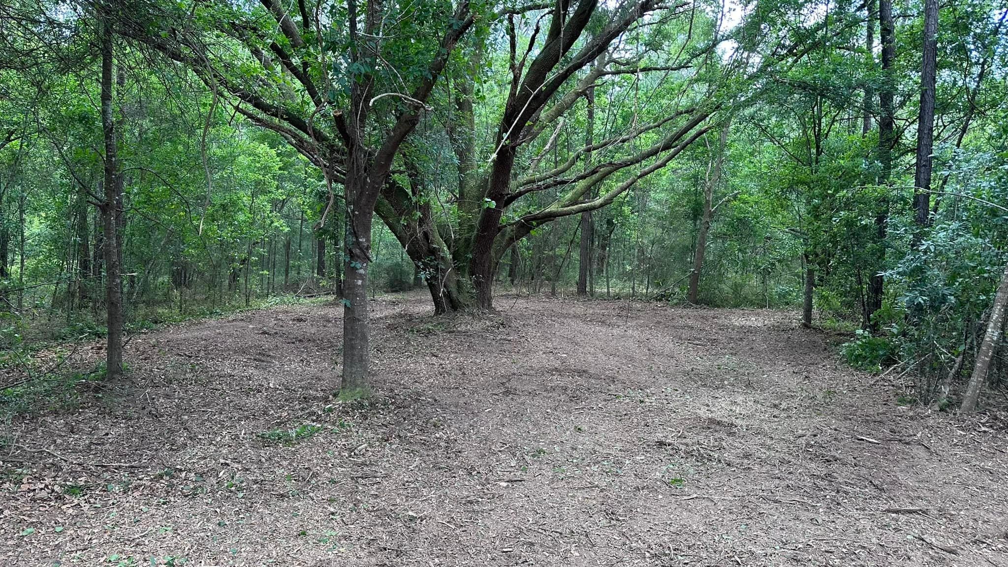 All Photos for White’s Land Maintenance in Milton,, FL